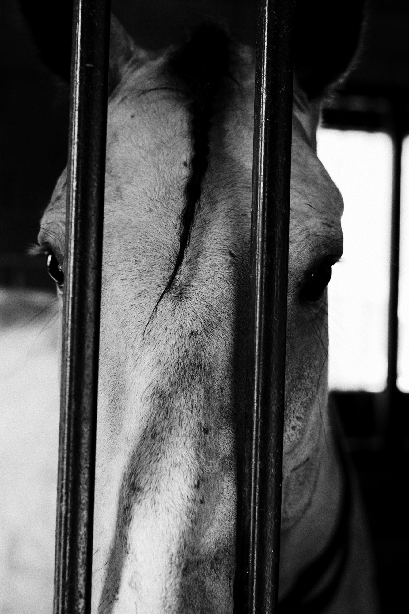 Фотопроект Женя, женский портрет в Тюмени. Портретный фотограф Тюмень Дарья Мустафина