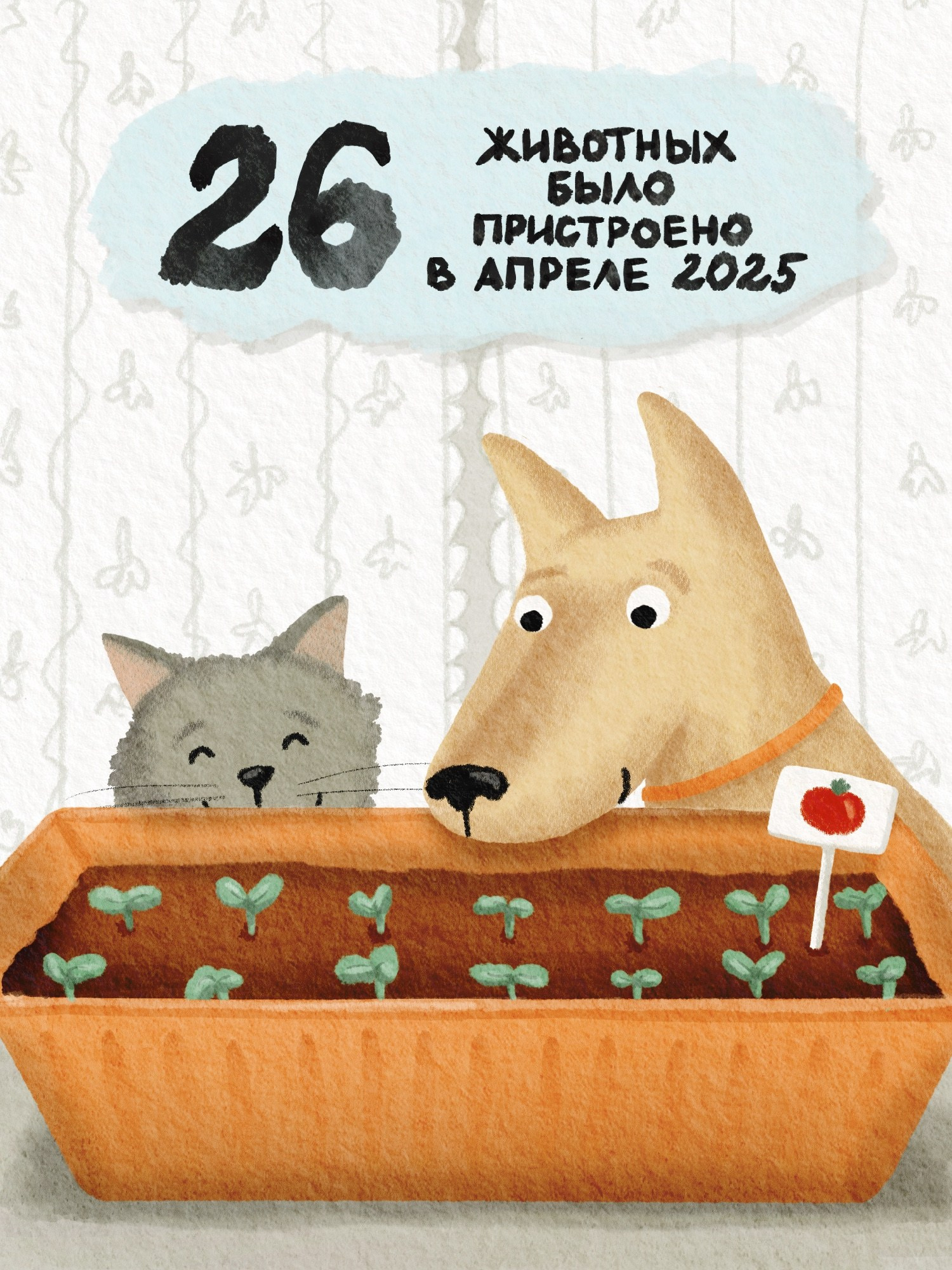 Иллюстратор | Аня Лёзина. Фотограф Нижний Новгород Аня Лёзина