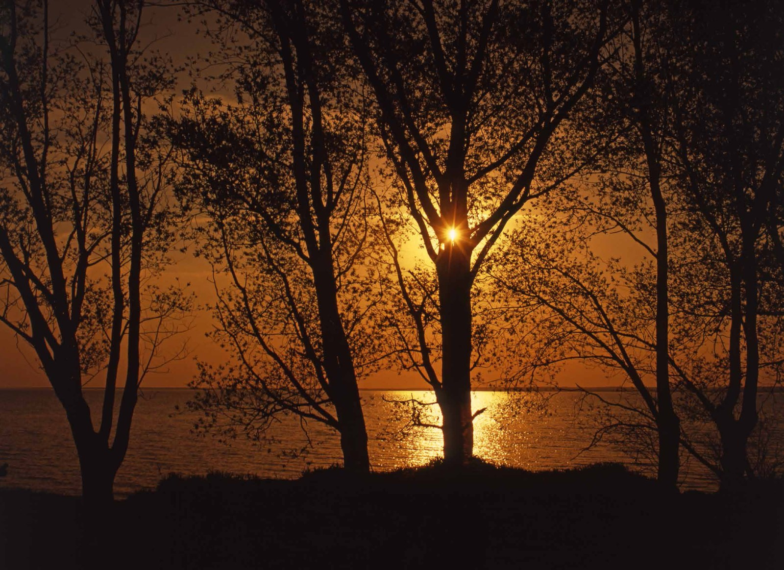 Коллекционные альбомы. ВАДИМ ГИППЕНРЕЙТЕР — ВЕЛИКИЙ ФОТОГРАФ ЗЕМЛИ РУССКОЙ