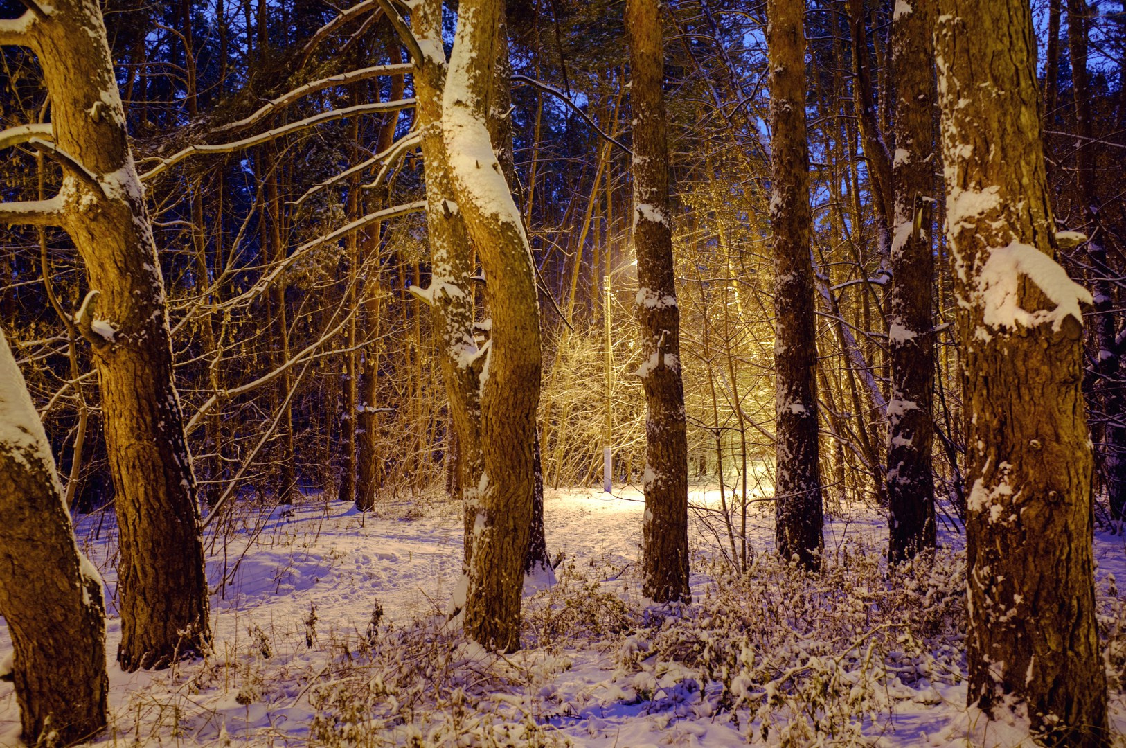 Руслан Шувалов (поэтограф)