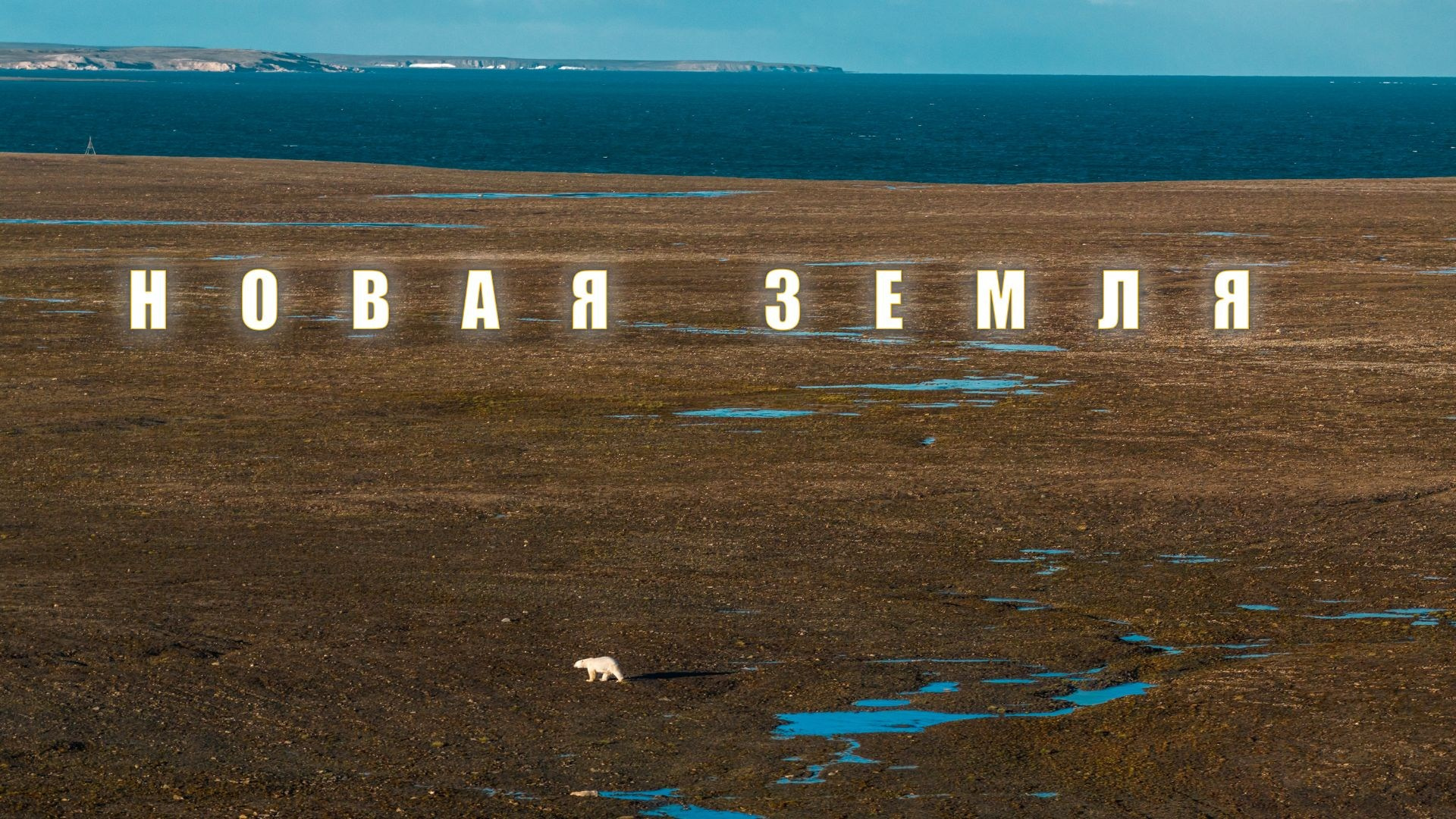 北極奧德賽. 攝影師 基里爾·謝爾蓋耶夫 |莫斯科