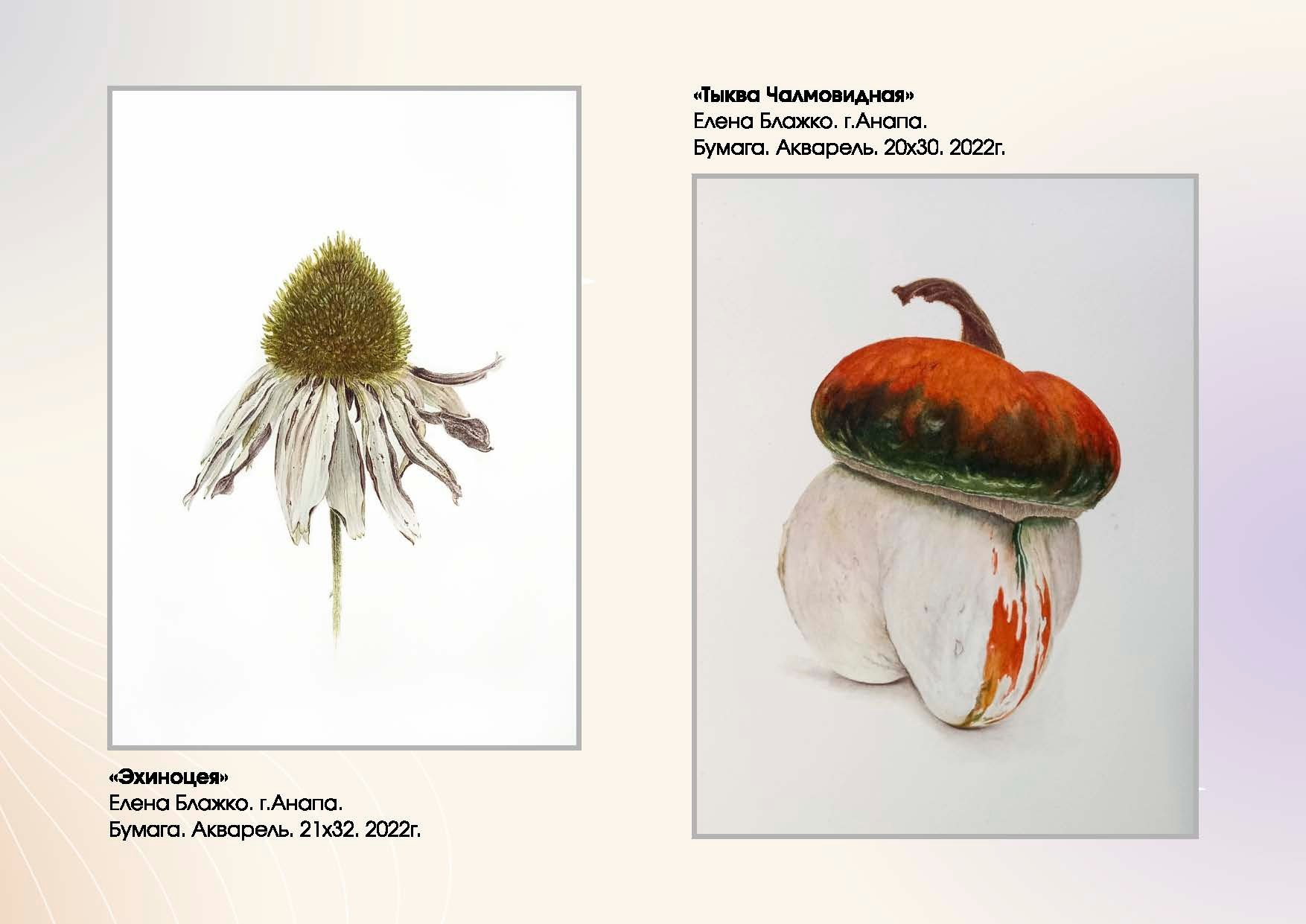 Блажко Елена Владленовна. Галерея участников Российской Премии Искусств