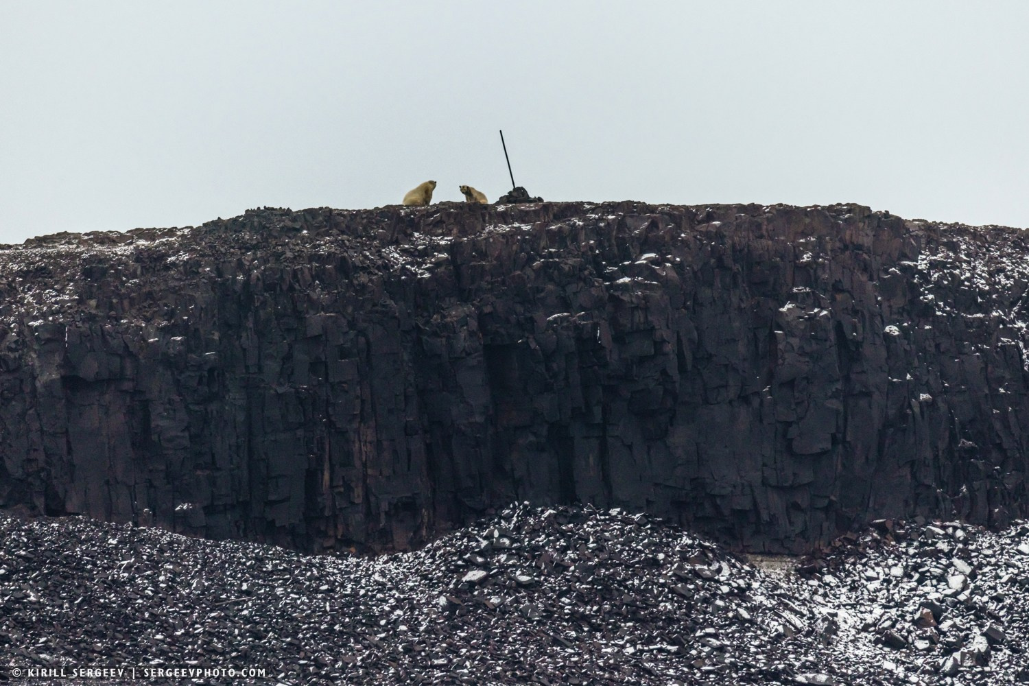 Арктическая одиссея. Фотограф Кирилл Сергеев | Москва