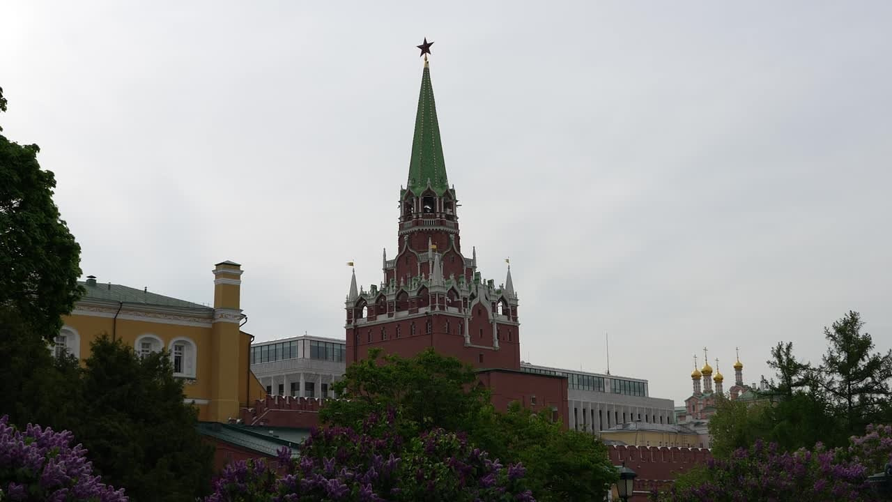 Репортажи. Золотое яблочко