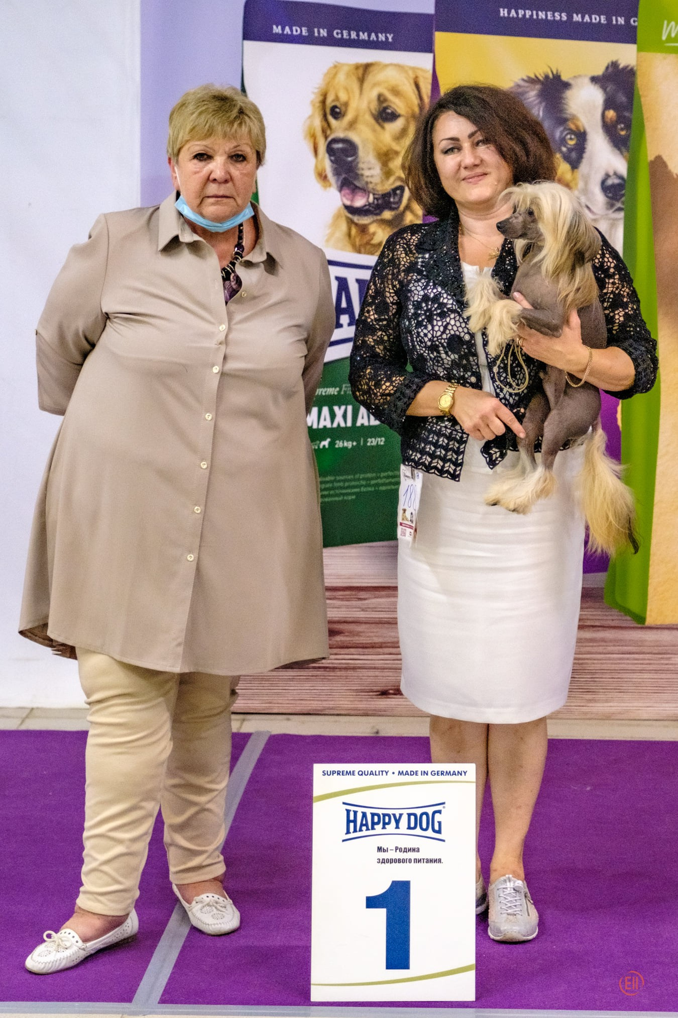 18.07.2020, г.Москва, МКОО "Ника", моно КХС, судья Светлана Решетникова, Купер - отлично 2, ЮСС. МКОО "Орфей", моно КХС, судья Олкова Ю., Купер - отлично 2, ЮСС., МКОО "Эвридика", сертификатная выставка,, судья Соколова Л.В., Купер - CW, ЮСАС, ЮЧРКФ, ЛЮ, ЛПП. Хендлер Татьяна Чистонова.