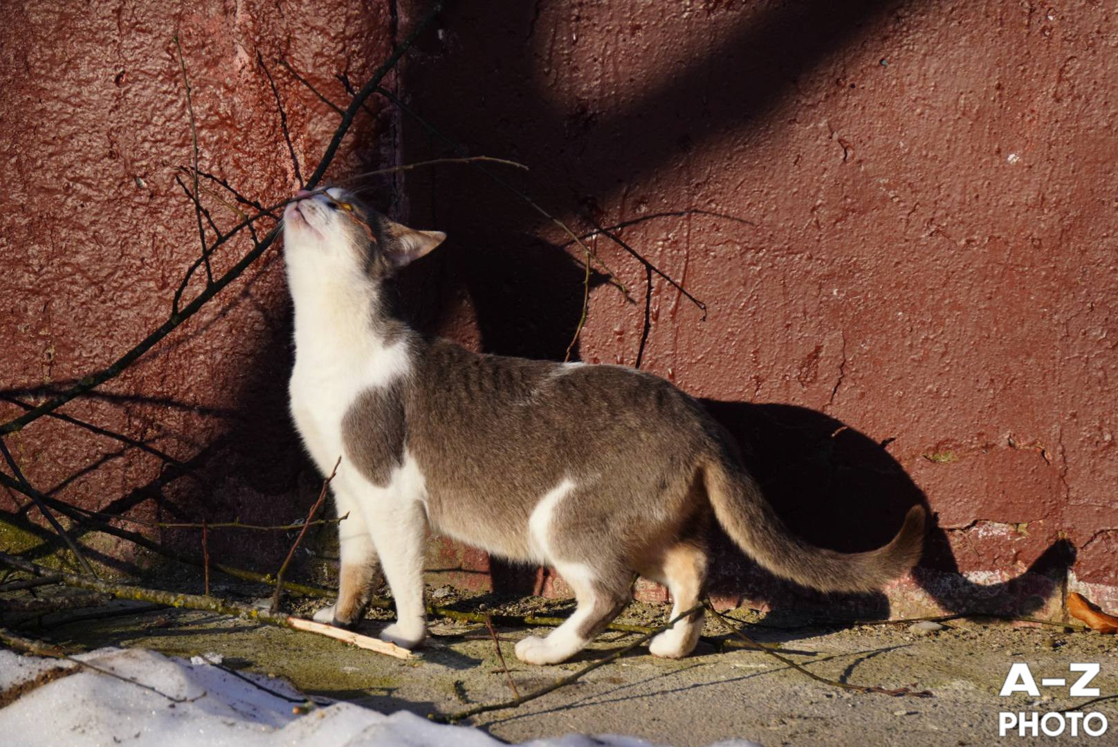 #ФОТОНЕДЕЛИ 16.03.2026. Женский семейный фотограф Тула Москва Захарова Анна