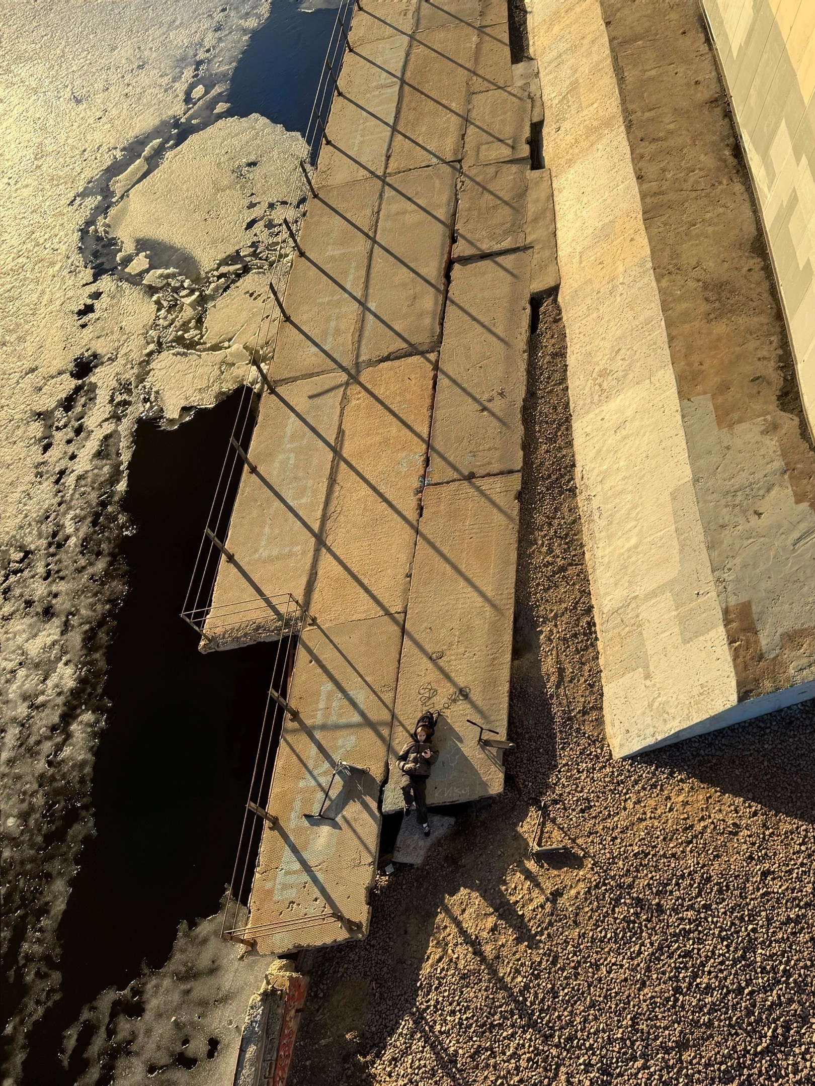 Вероника Новикова