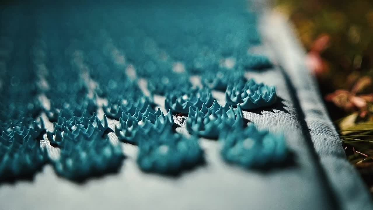 COMMERCE. Миша Снимет | твой фотограф