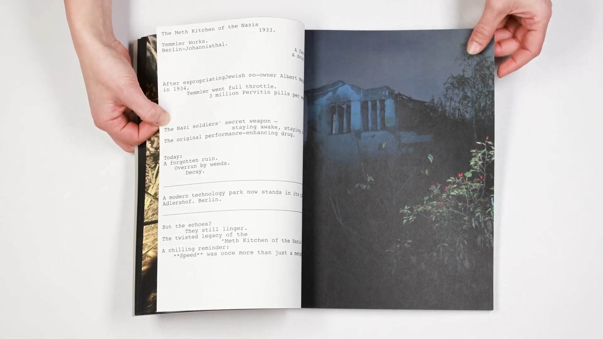 Книга «Dear parents, please send me bacon and Pervitin» художницы Уши Гроос. Private image