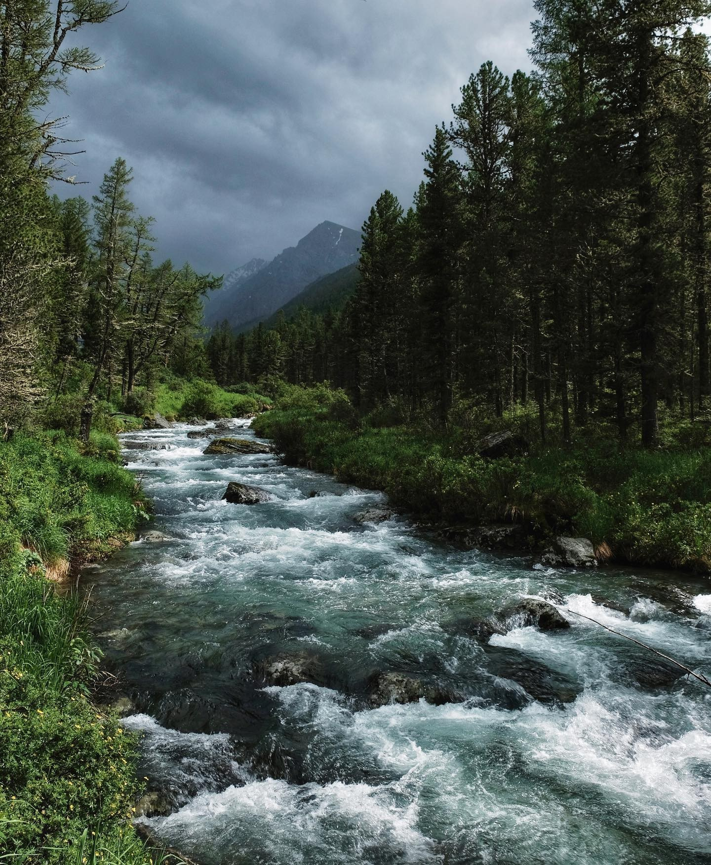 Алтай. Уникальные экспедиции — LUCKY CLAN