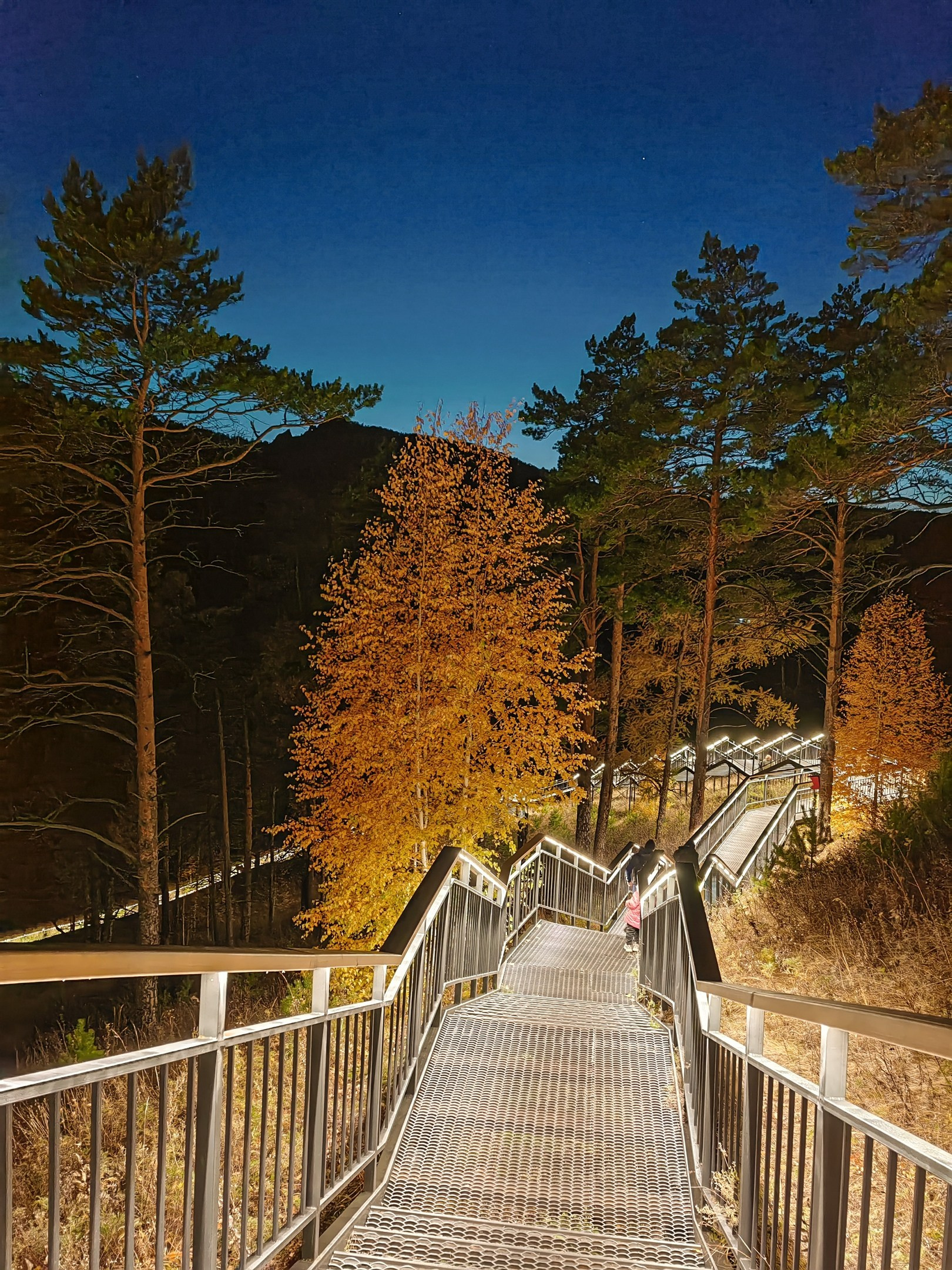 Торгашинская лестница берёзы индивидуальный тур Красноярск экскурсии фото интересные места что посмотреть куда сходить что посетить достопримечательности Красноярска фототур фотосессия аренда кабриолета аренда микроавтобуса трансфер цена заказать экскурсию программа маршрут смотровые площадки видовые красивые места Национальный парк заповедник Столбы Дивногорск Красноярская ГЭС путешествие туристический маршрут место силы Часовня Параскевы Пятницы Коммунальный мост остров Татышев Бобровый лог Николаевская сопка набережная Енисея село Овсянка музей Астафьева Караульная гора Виноградовский мост гид экскурсовод индивидуальная экскурсия фотосъемка виды на Енисей фанпарк Бобровый лог парк флоры и фауны Роев ручей Торгашинский хребет скала Такмак вантовый мост куда сходить цены расписание заказать онлайн экскурсионное обслуживание трансфер на комфортабельном автобусе