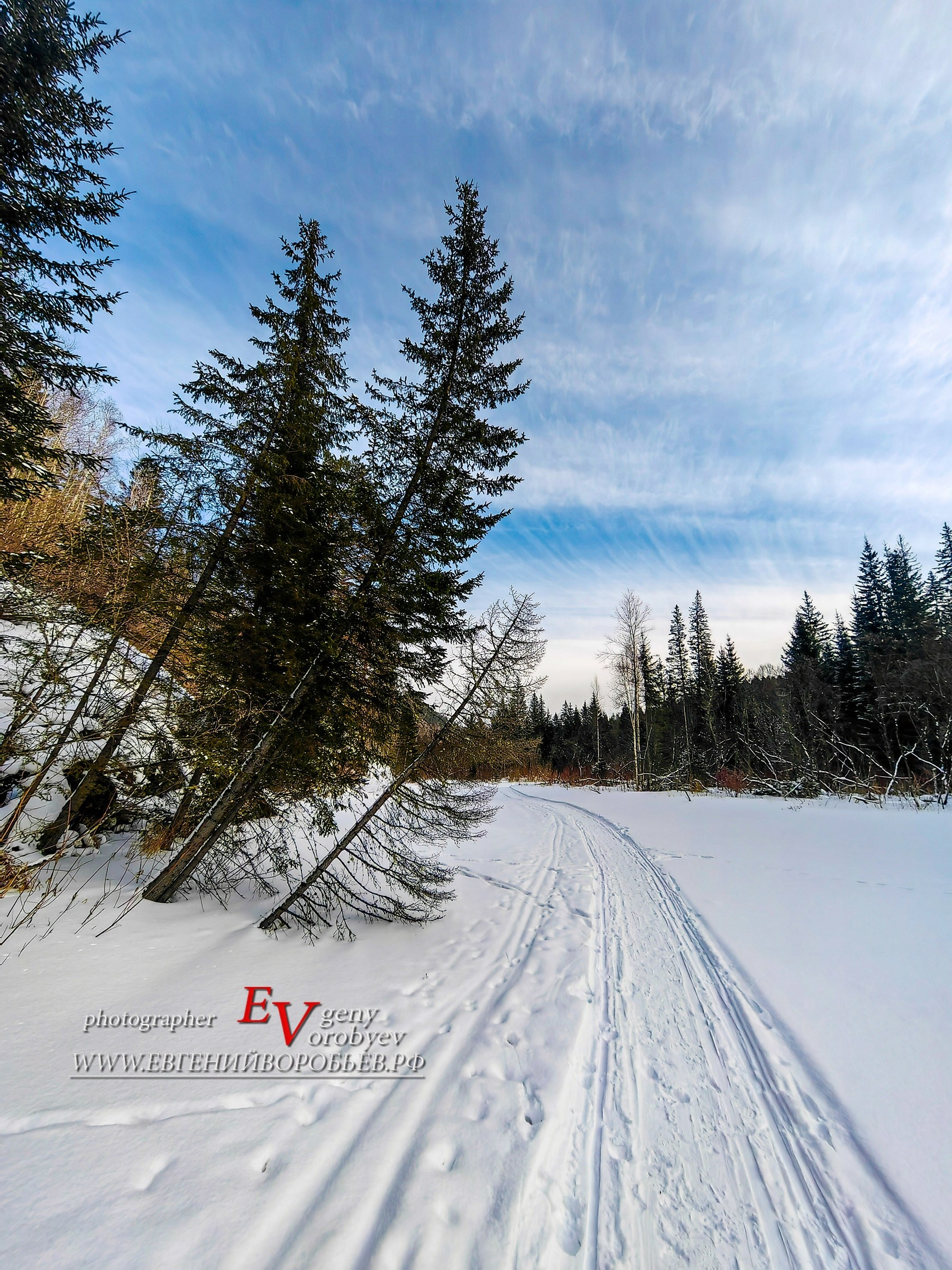 Тайга река Базаиха в Красноярске Торгашинский хребет Сибирь путешествие ель сосна зима снег поход идея выходные интересные места куда сходить горы лес природа