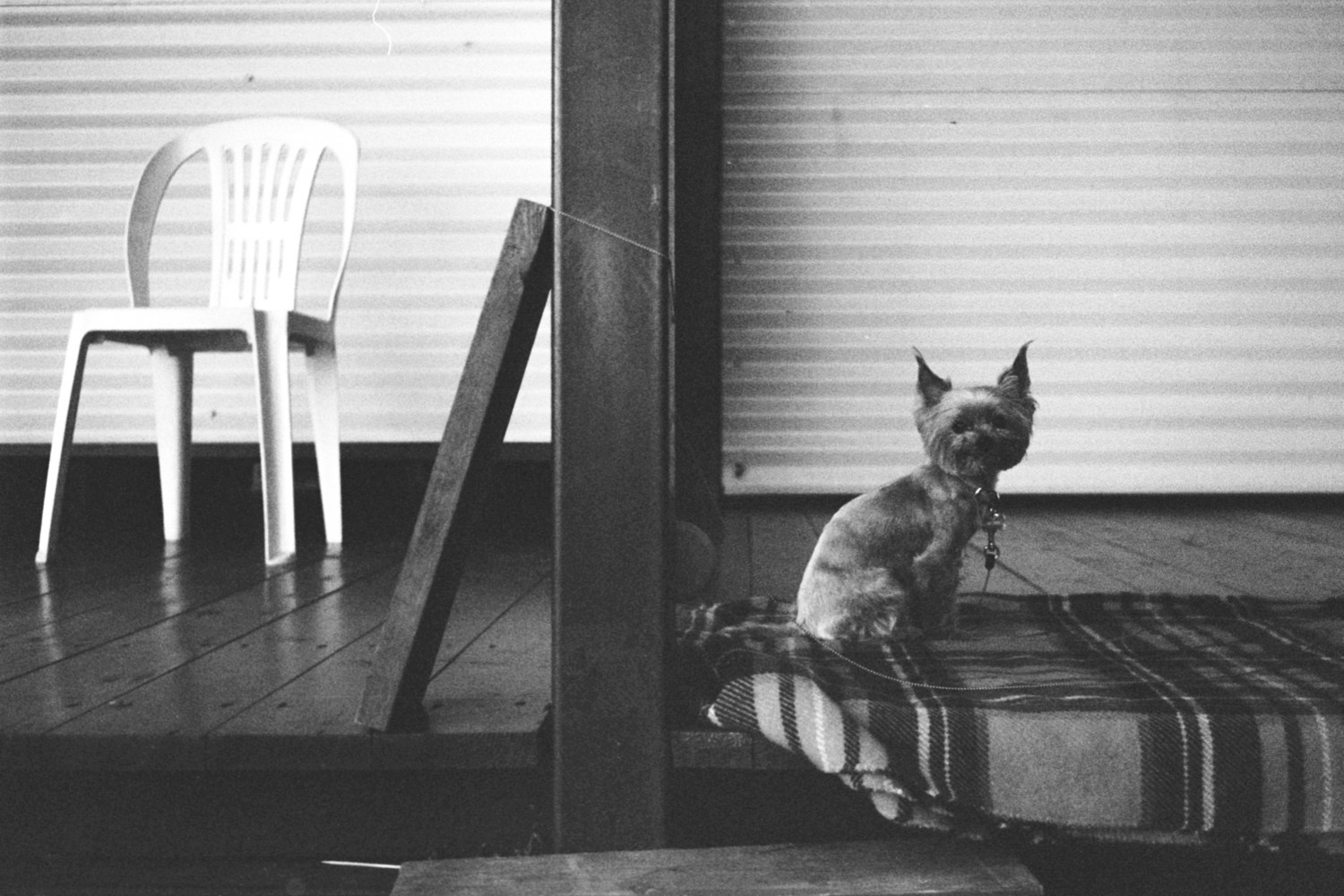 ∞. Художественная фотография. Фотография на плёнку. Илья Вараксин