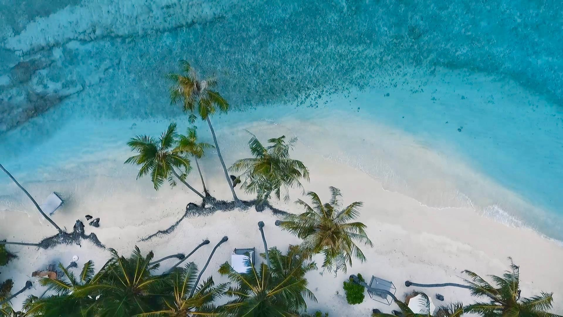 Свадебная, семейная, коммерческая видеография в Анапе. Видеограф Александр Горный