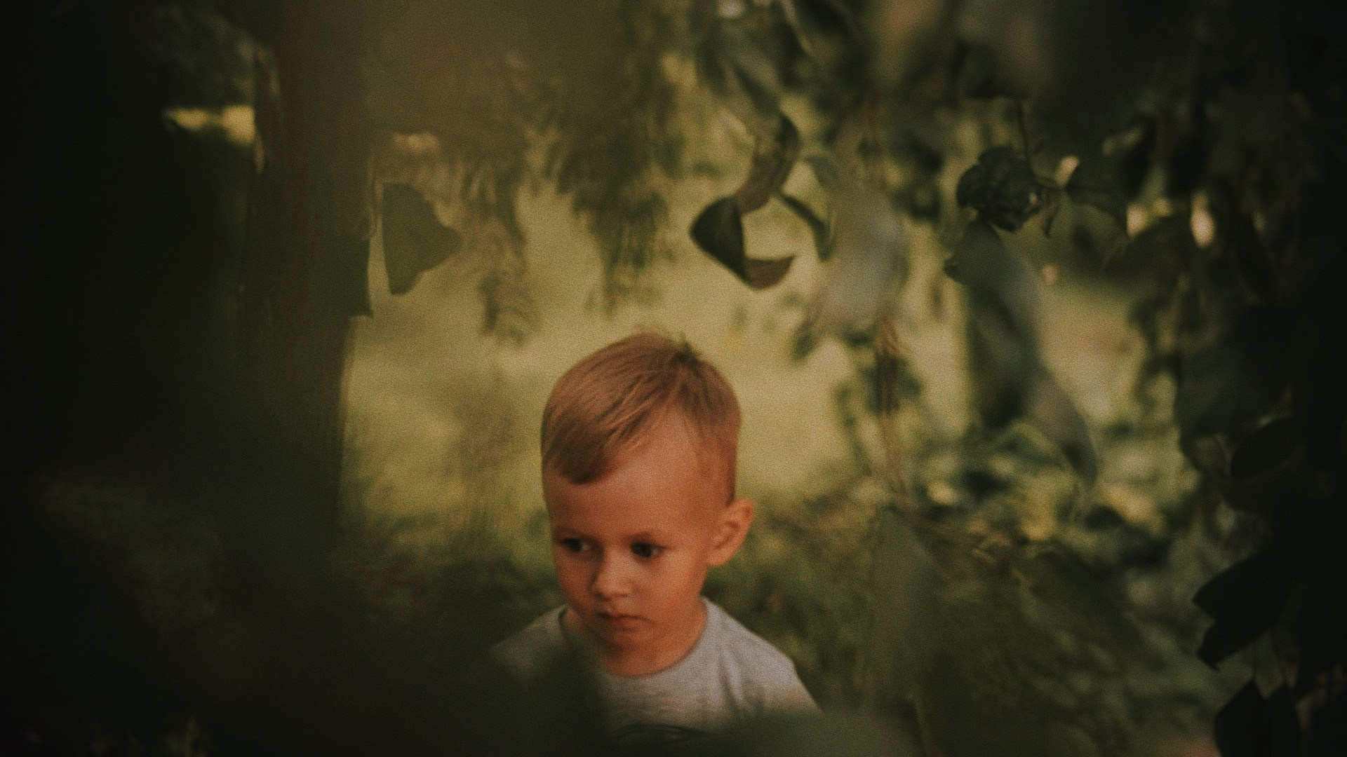 Семейное кино. ВИДЕОГРАФ, РЕЖИССЕР — КАТЯ ГУСЕВА