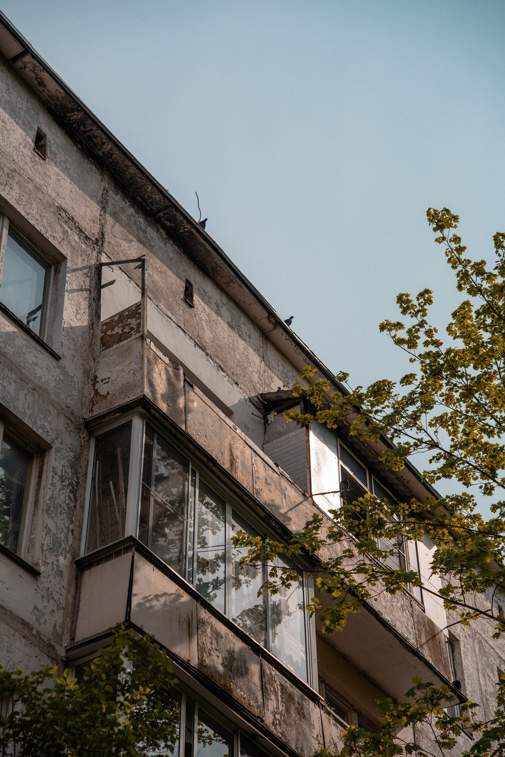 Timofey3011
