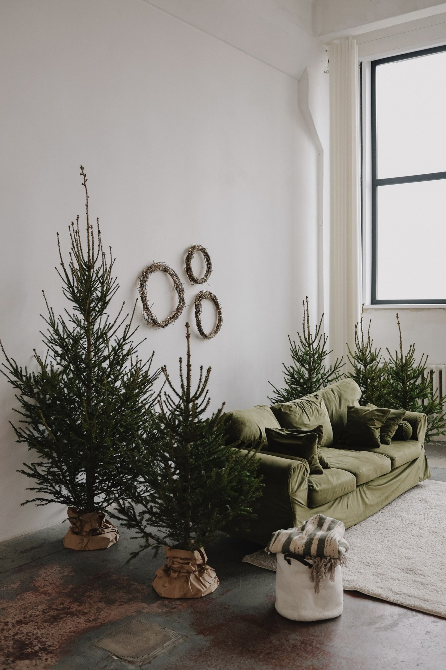 Фотостудии в Нижнем Новгороде. Свадебный, портретный, фотограф беременности в Нижнем Новгороде Алина Зиновьева