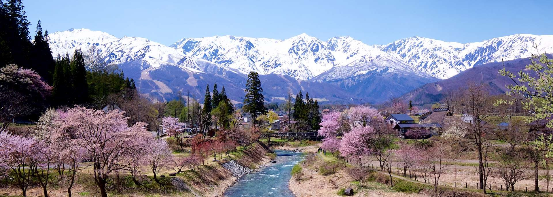 Japan in Sakura time, 7-14 April 2026. Alexkrepak