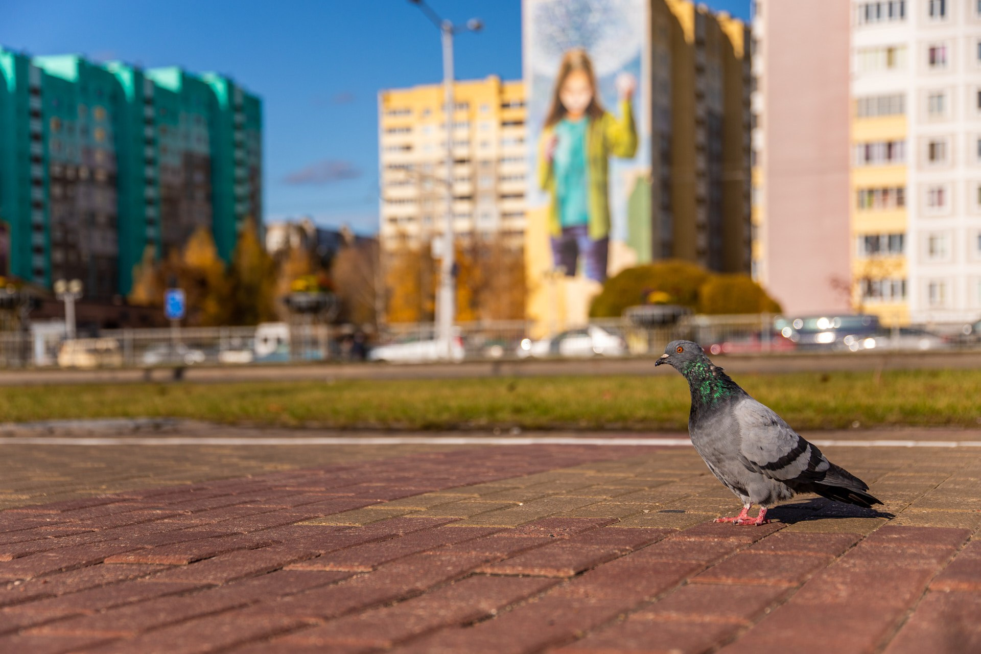 Свадьба минск, свадебный фотограф, минск фотограф, репортажной фотограф Беларусь, фотограф в Минске, Алексей Матюшков, фоторепортер Беларуси, Репортажная съемка мероприятий, Дни рождения, праздники