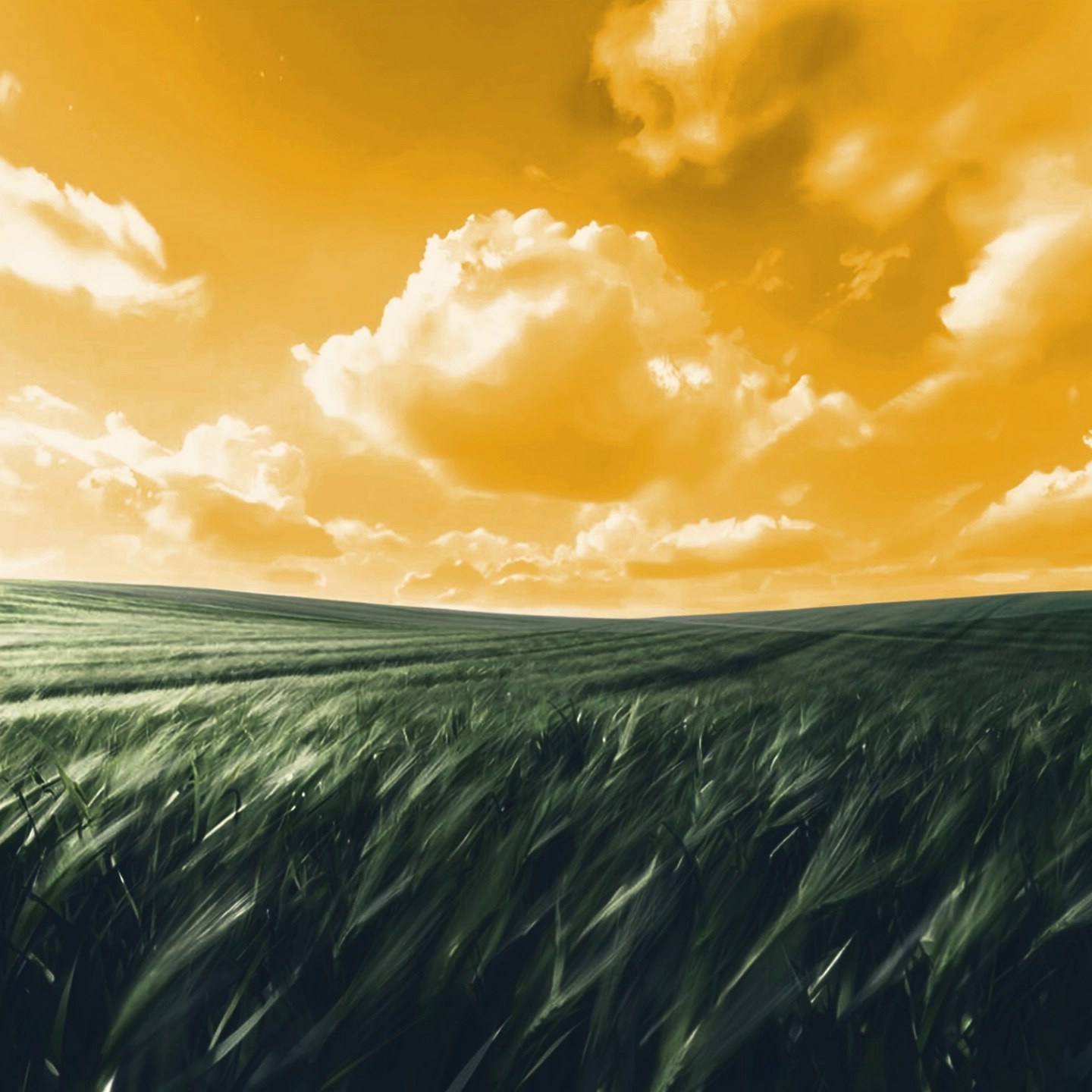 Нейро креатор Сара Кинбер: нейрофото, генерация видео, генерация изображений для бизнеса