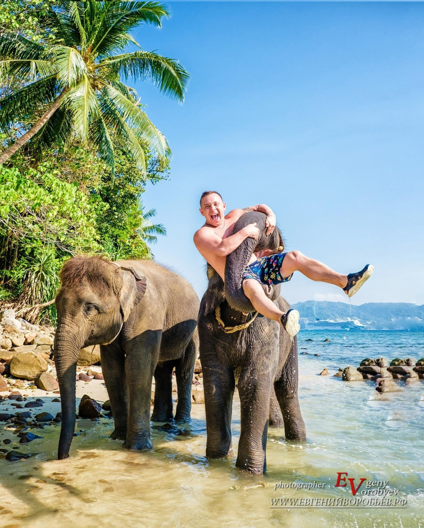 фотосессия купание со слонами на пляже Пхукета цена стоимость заказать фотограф Phuket море слон слонёнок тайланд пляж ката карон патонг майкао камала сурин семейная фотосессия