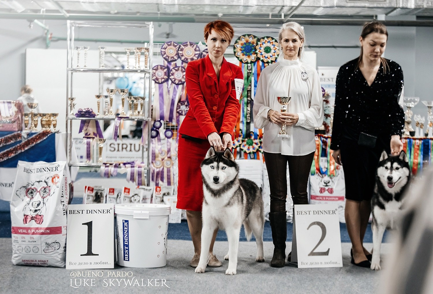 Собаки питомника Bueno Pardo. Питомник собак Акита, Хаски, Корги