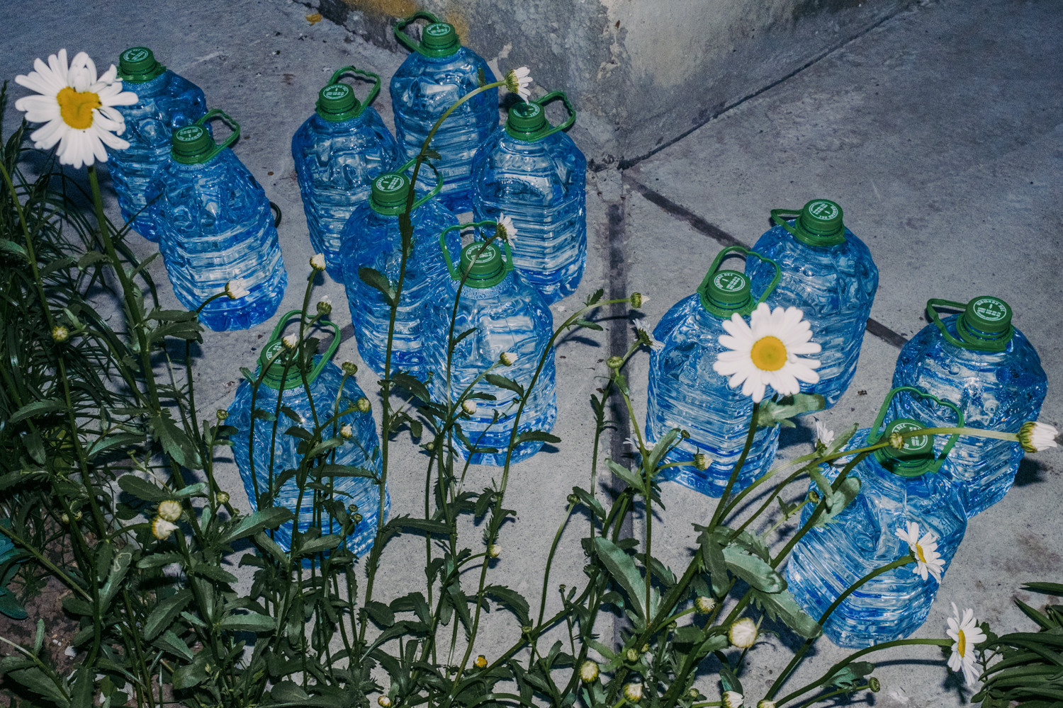 Фасад. Художница