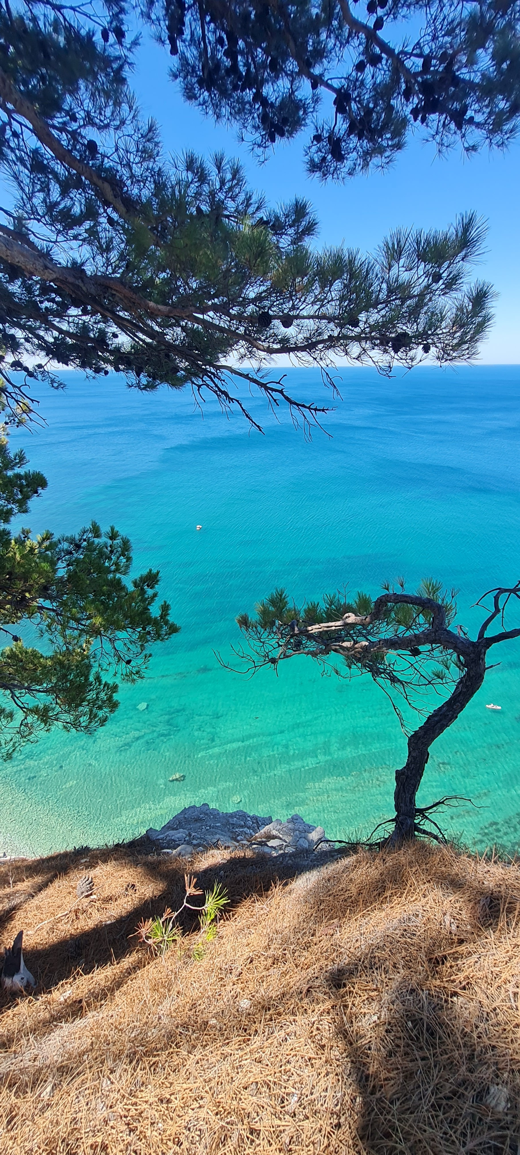 Программа «Три маршрута из Геленджика»