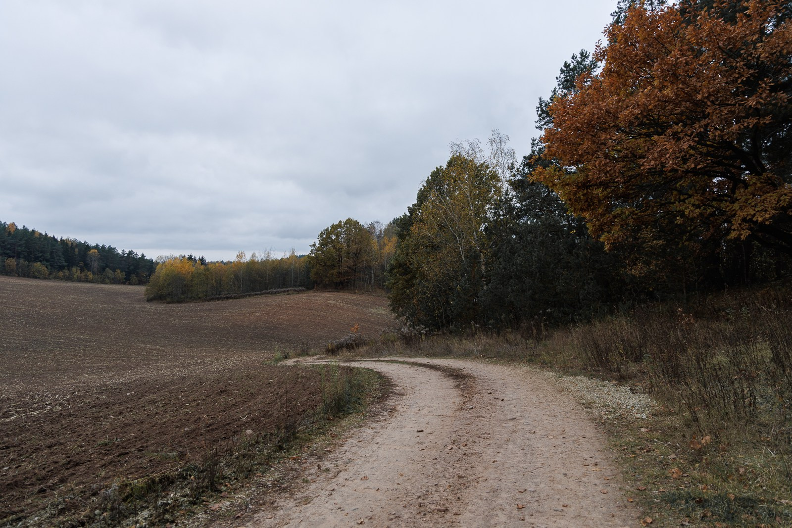 Прилепы, Беларусь. Юлия Леонова — фотограф, визуальный художник Минск