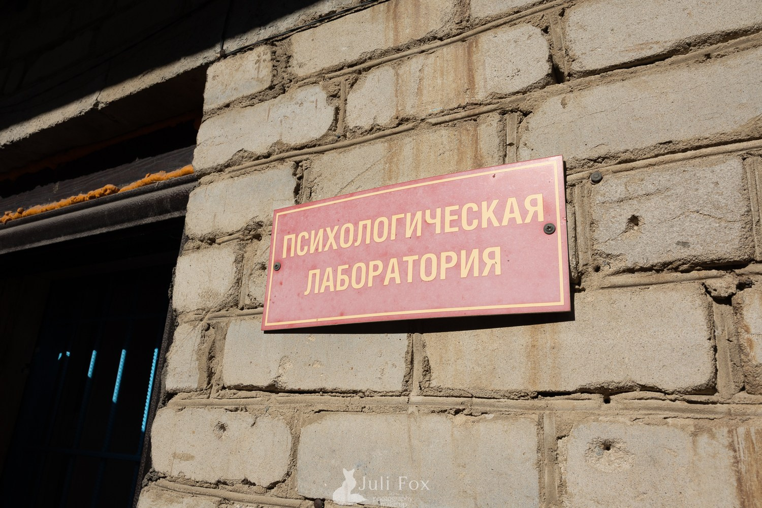 Репортажная фотосъемка во Владивостоке. Портретный, свадебный, репортажный фотограф во Владивостоке Юлиана Джули Фокс