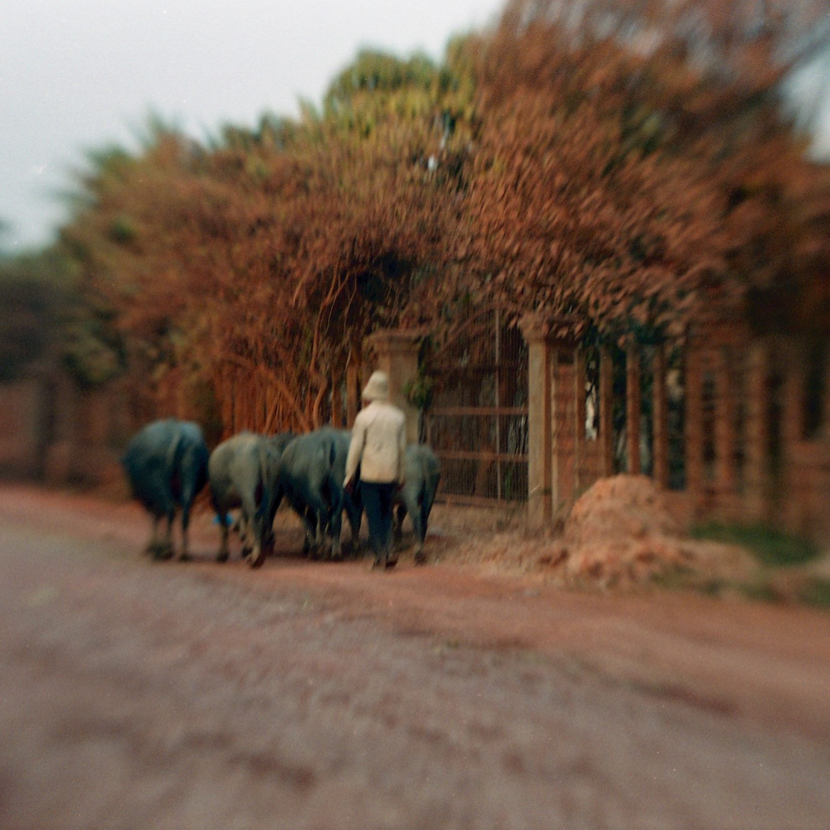 STREETS SPIRIT. Eduard Kopysov — International visual artist