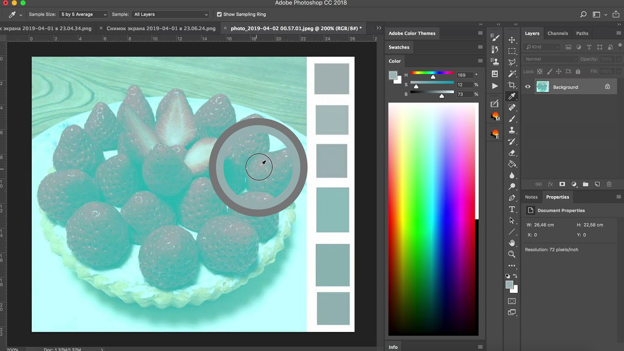 О восприятии цвета. Фотограф Константин Шамин