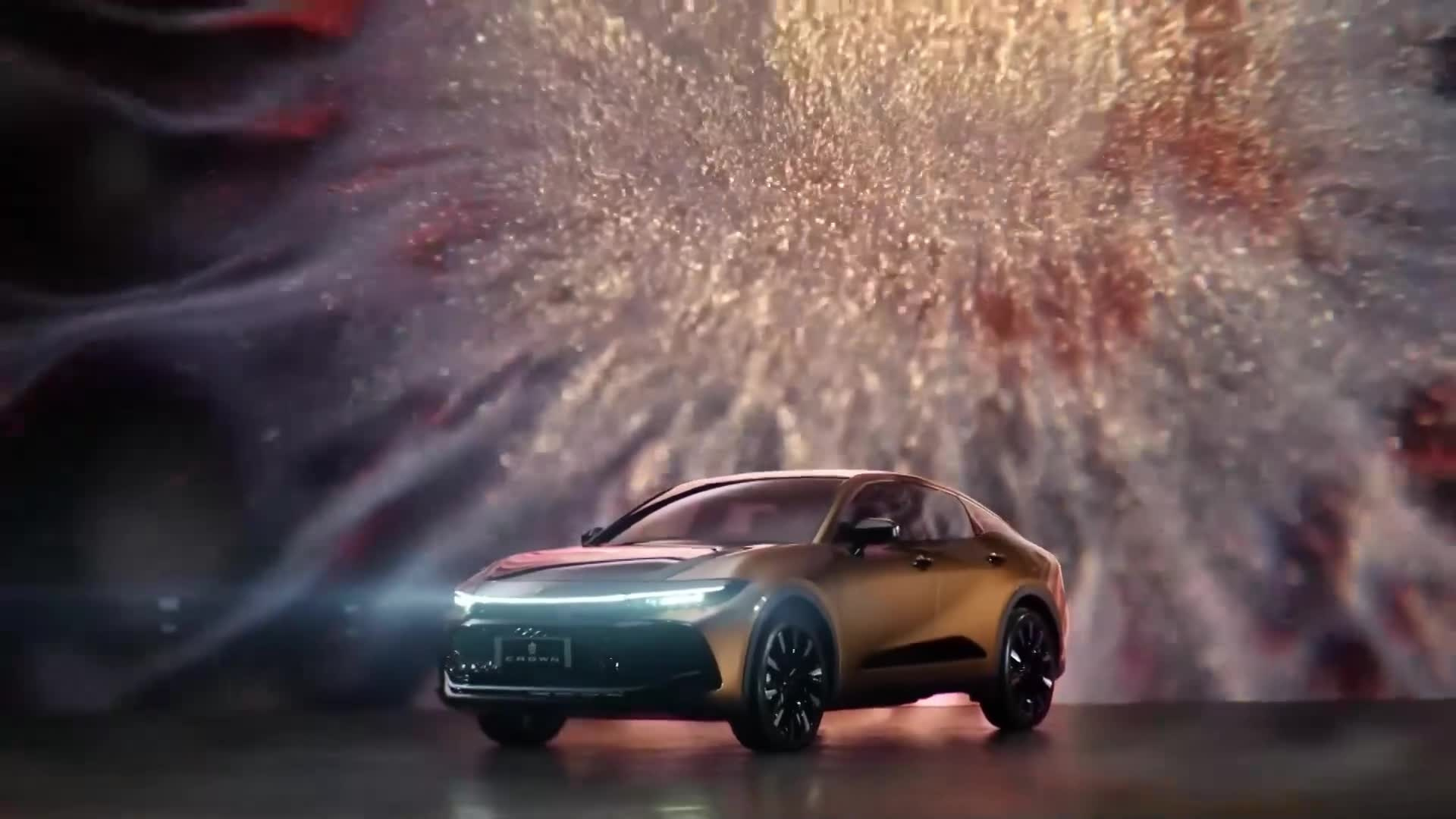 Macro films of Vadim Sherbakov. Short films by Vadim Sherbakov