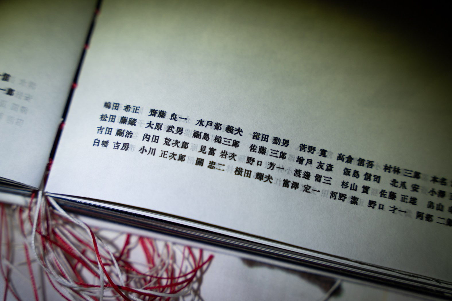 INTERVIEW WITH THE ARTIST: YOSHIKATSU FUJII. Самоорганизация Низина