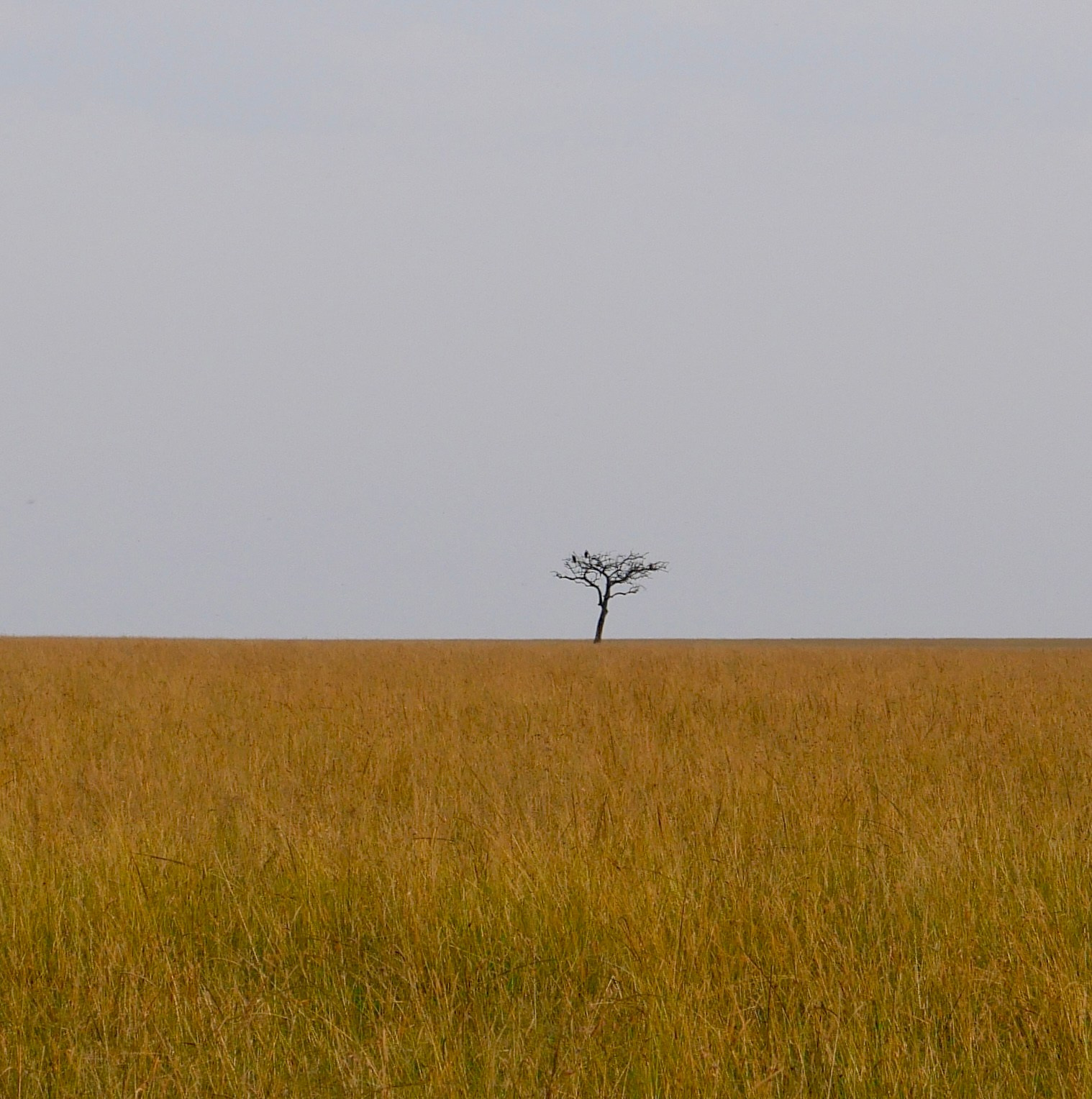 Ростов «Мир в деталях». ARTEXPOPHOTO