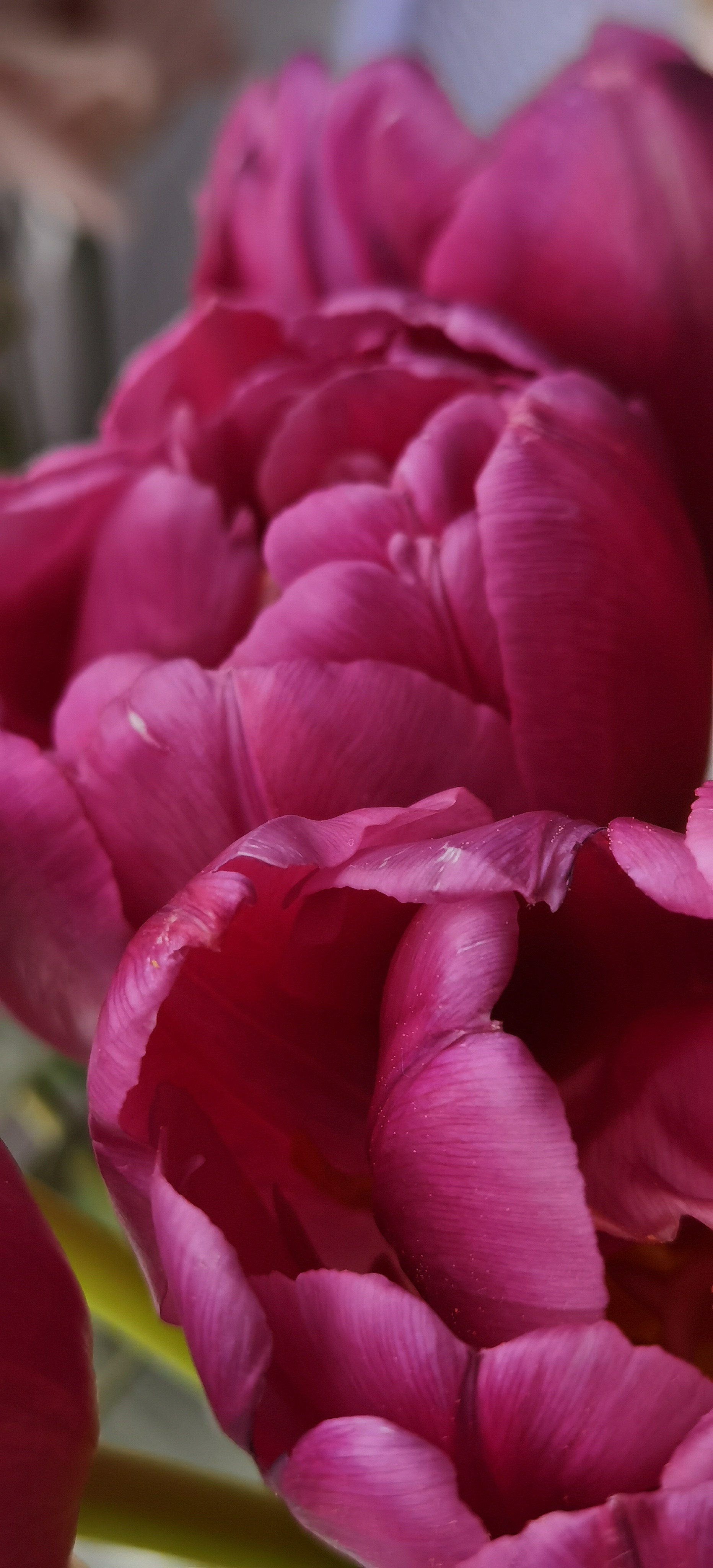 МК Мобильная фотография. Арт-фотограф Крис Л. в Тобольске: портрет, семейные, свадьбы