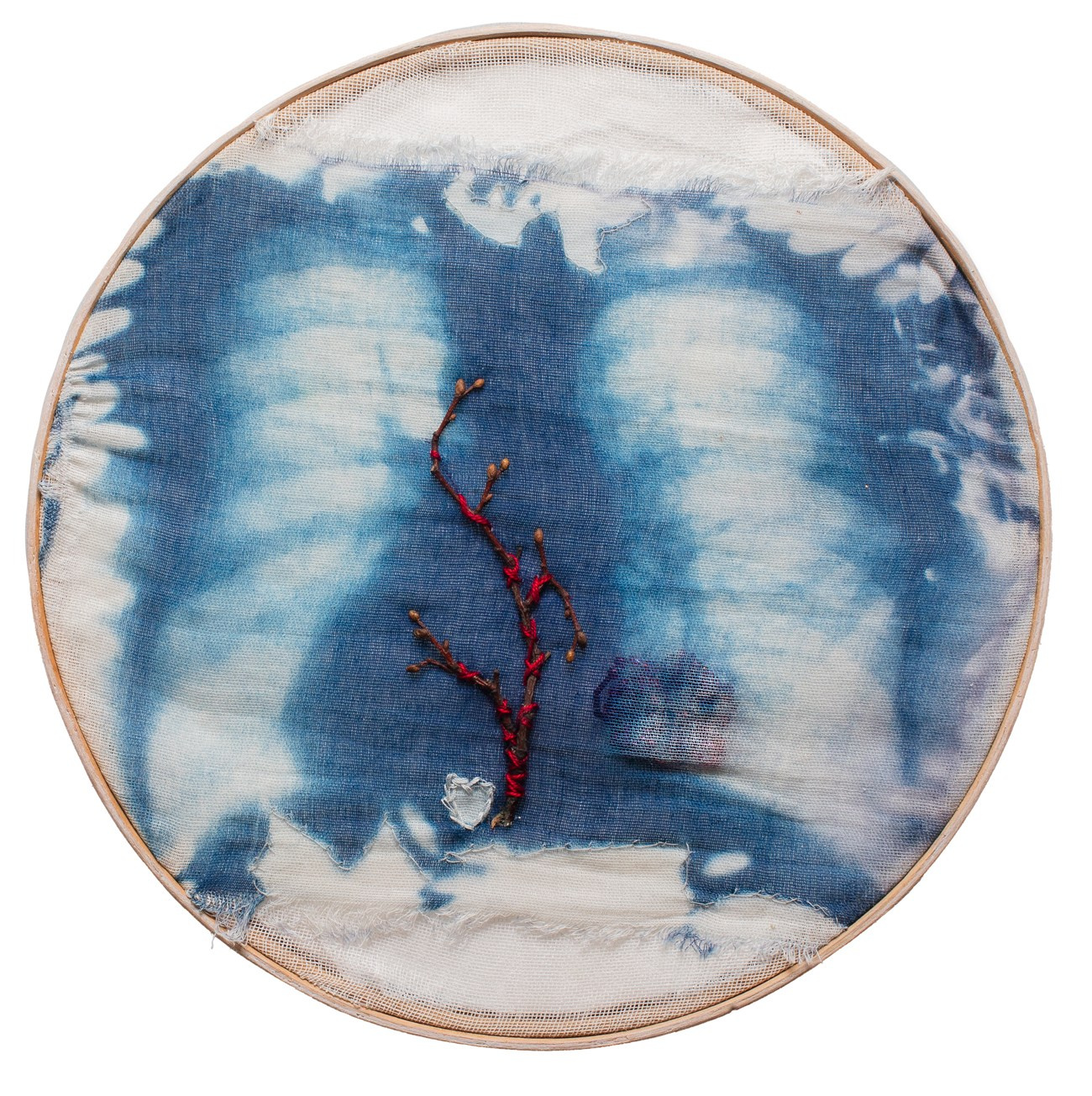 CYANOTYPE. CONTEMPORARY ARTIST OLGA ANDRIYASH