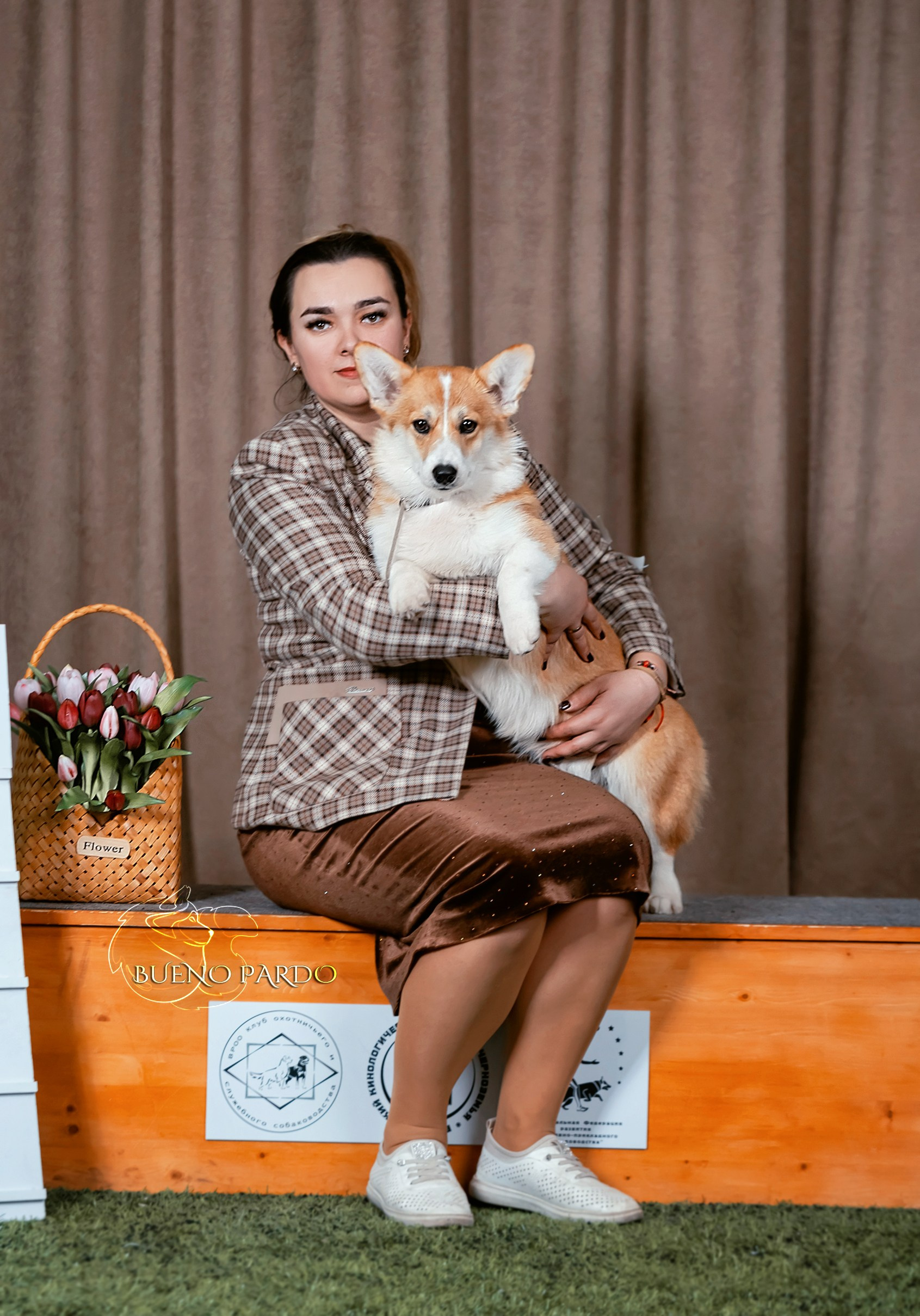 Собаки питомника Bueno Pardo. Питомник собак Акита, Хаски, Корги