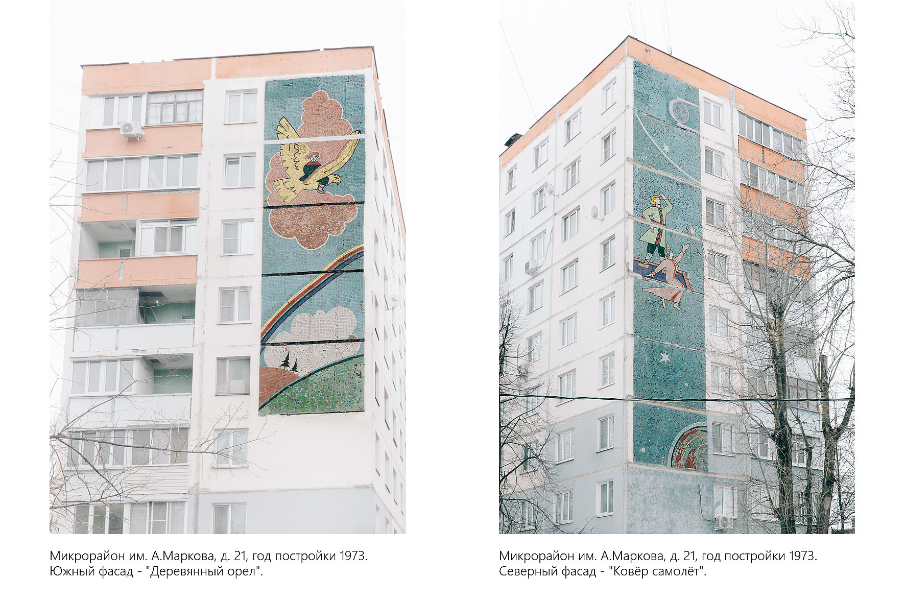 Дикая планета с 20 мая по 20 июля 2022