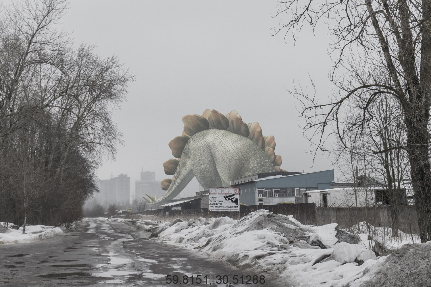 Дикая планета с 20 мая по 20 июля 2022