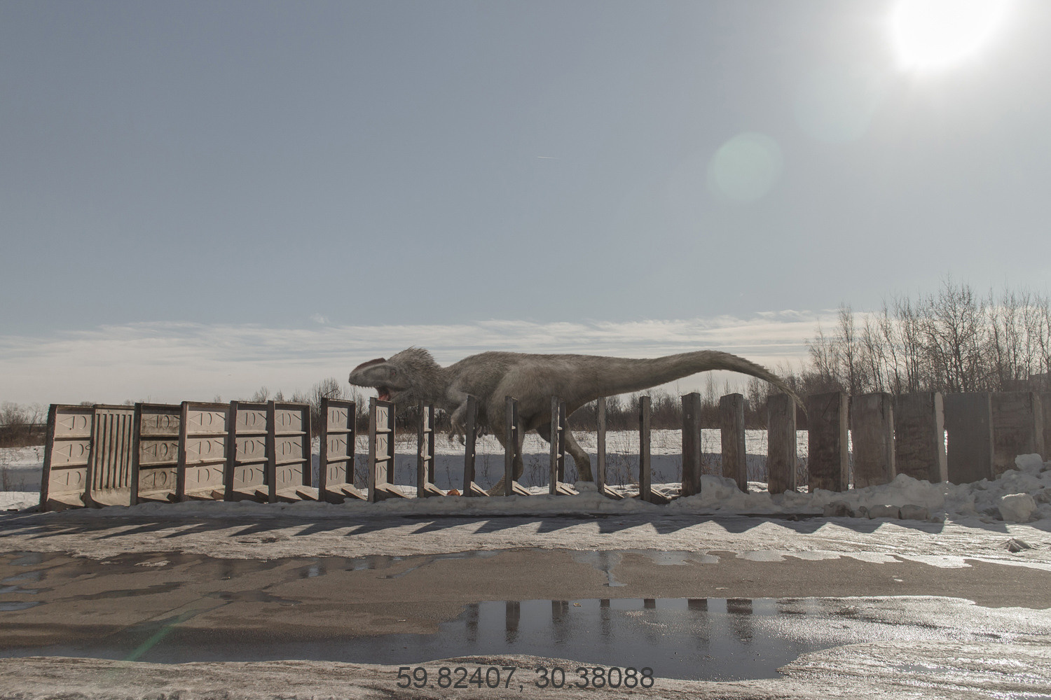 Дикая планета с 20 мая по 20 июля 2022