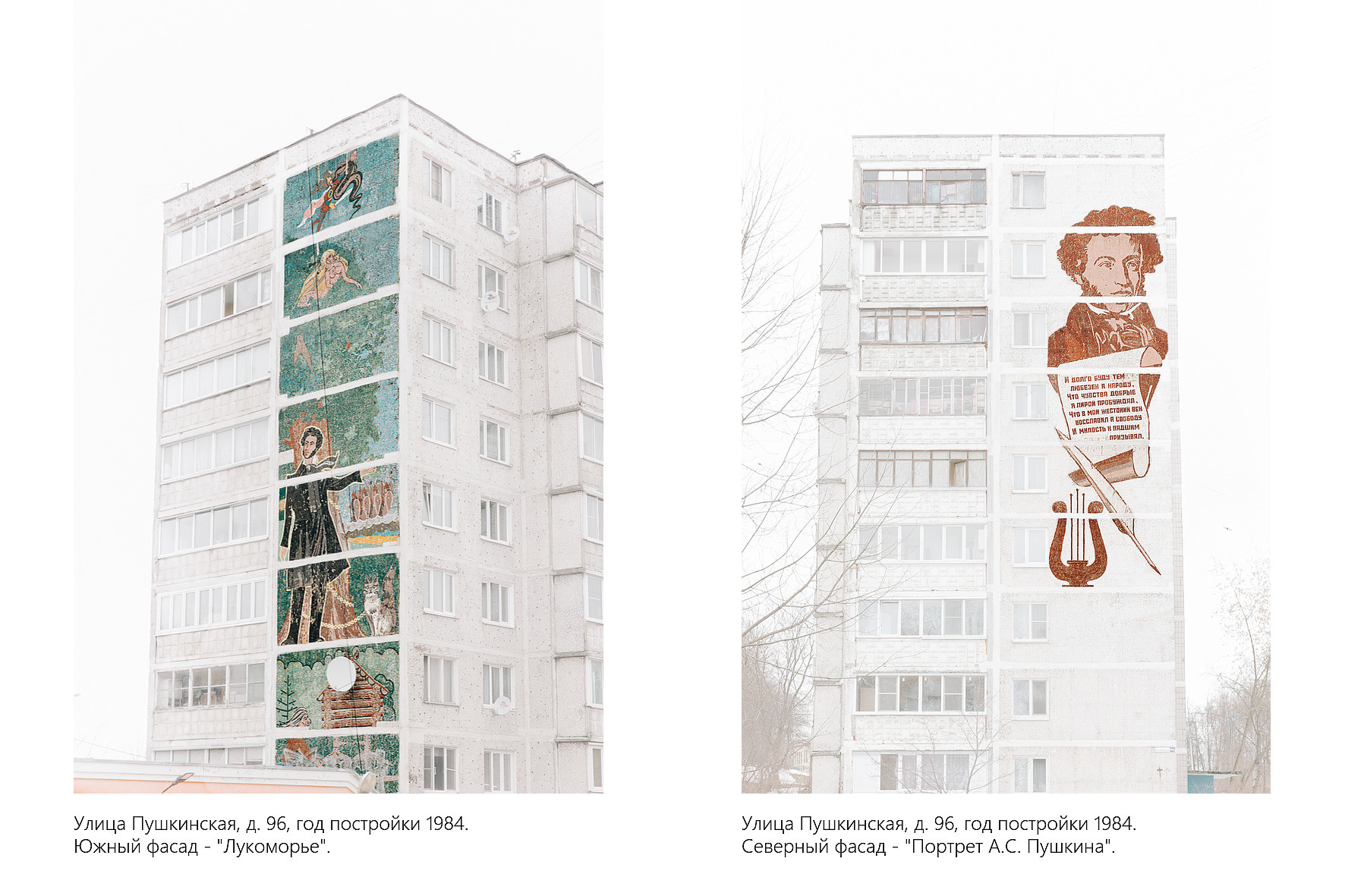 Дикая планета с 20 мая по 20 июля 2022