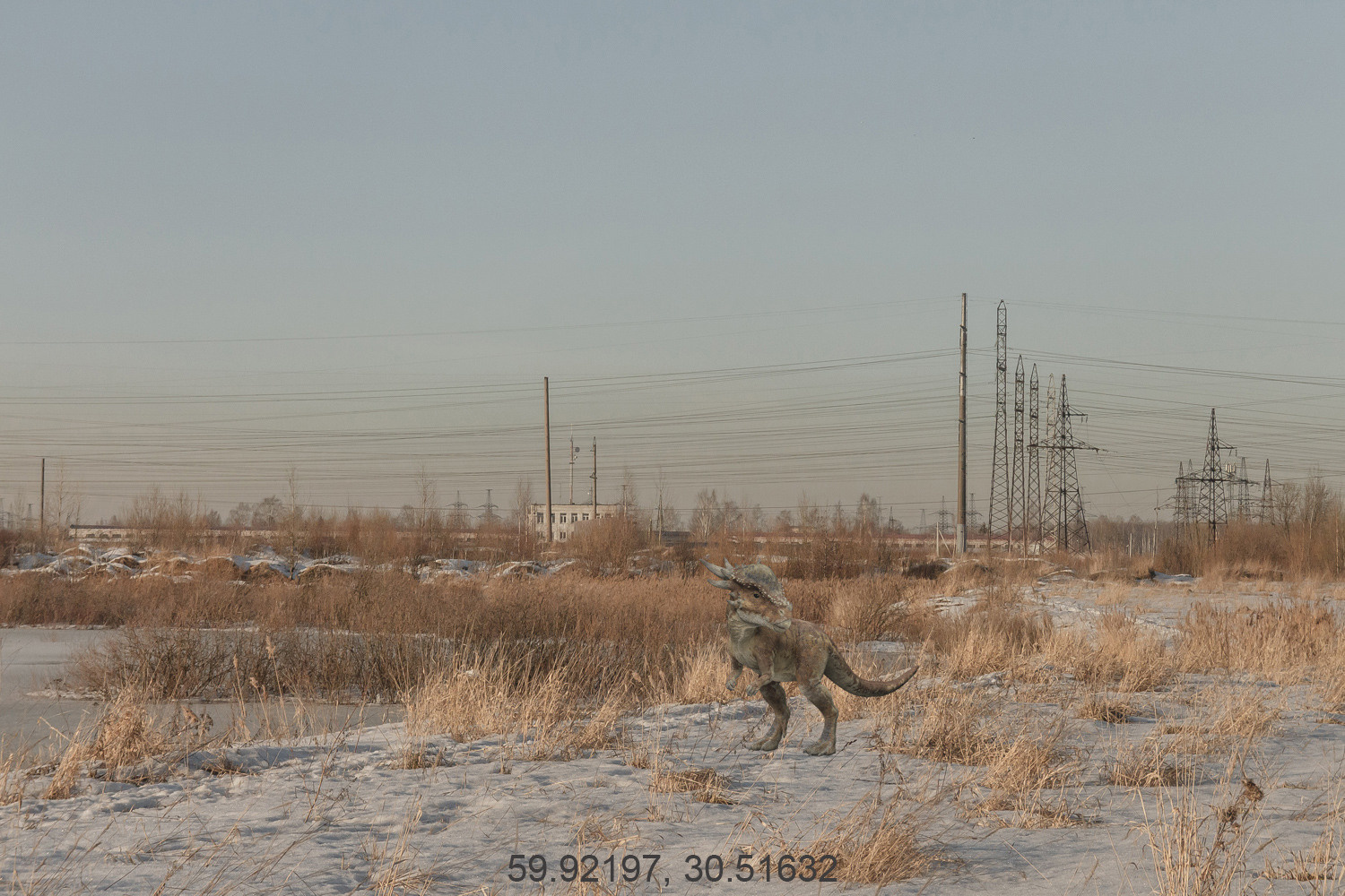 Дикая планета с 20 мая по 20 июля 2022