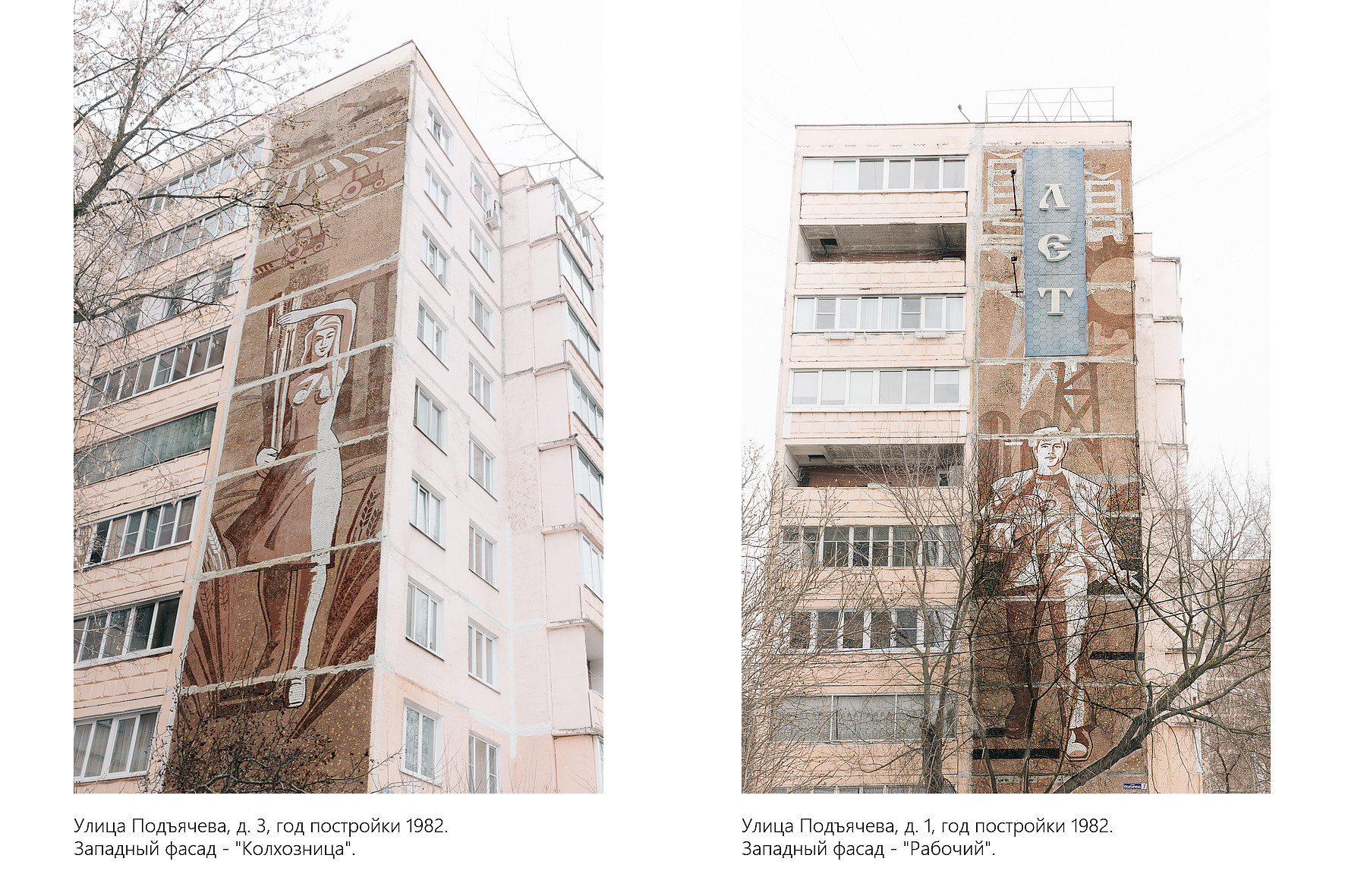 Дикая планета с 20 мая по 20 июля 2022