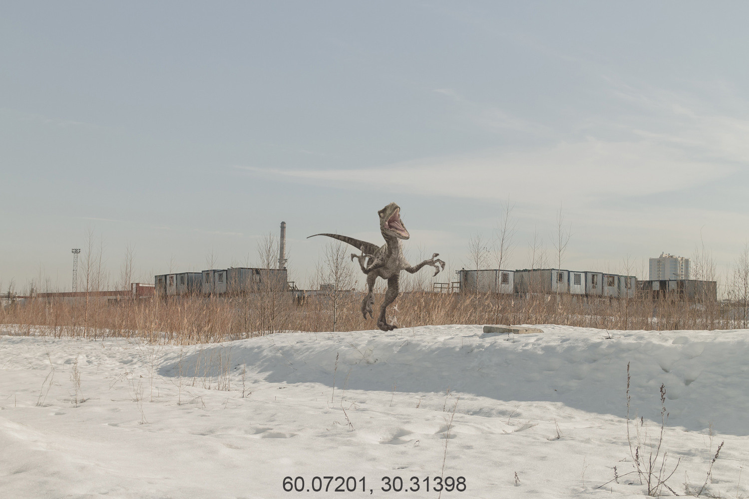 Дикая планета с 20 мая по 20 июля 2022