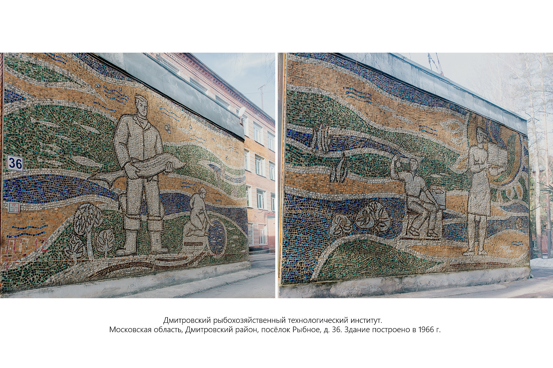 Дикая планета с 20 мая по 20 июля 2022