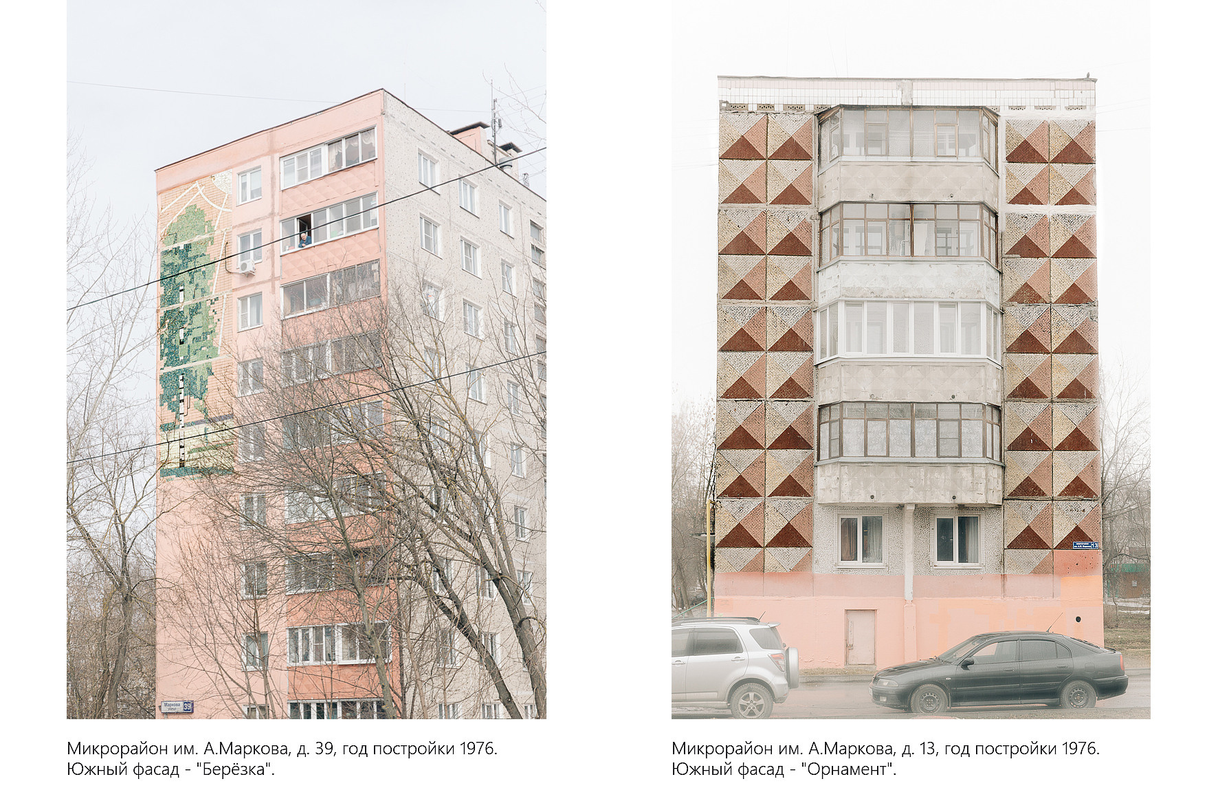 Дикая планета с 20 мая по 20 июля 2022