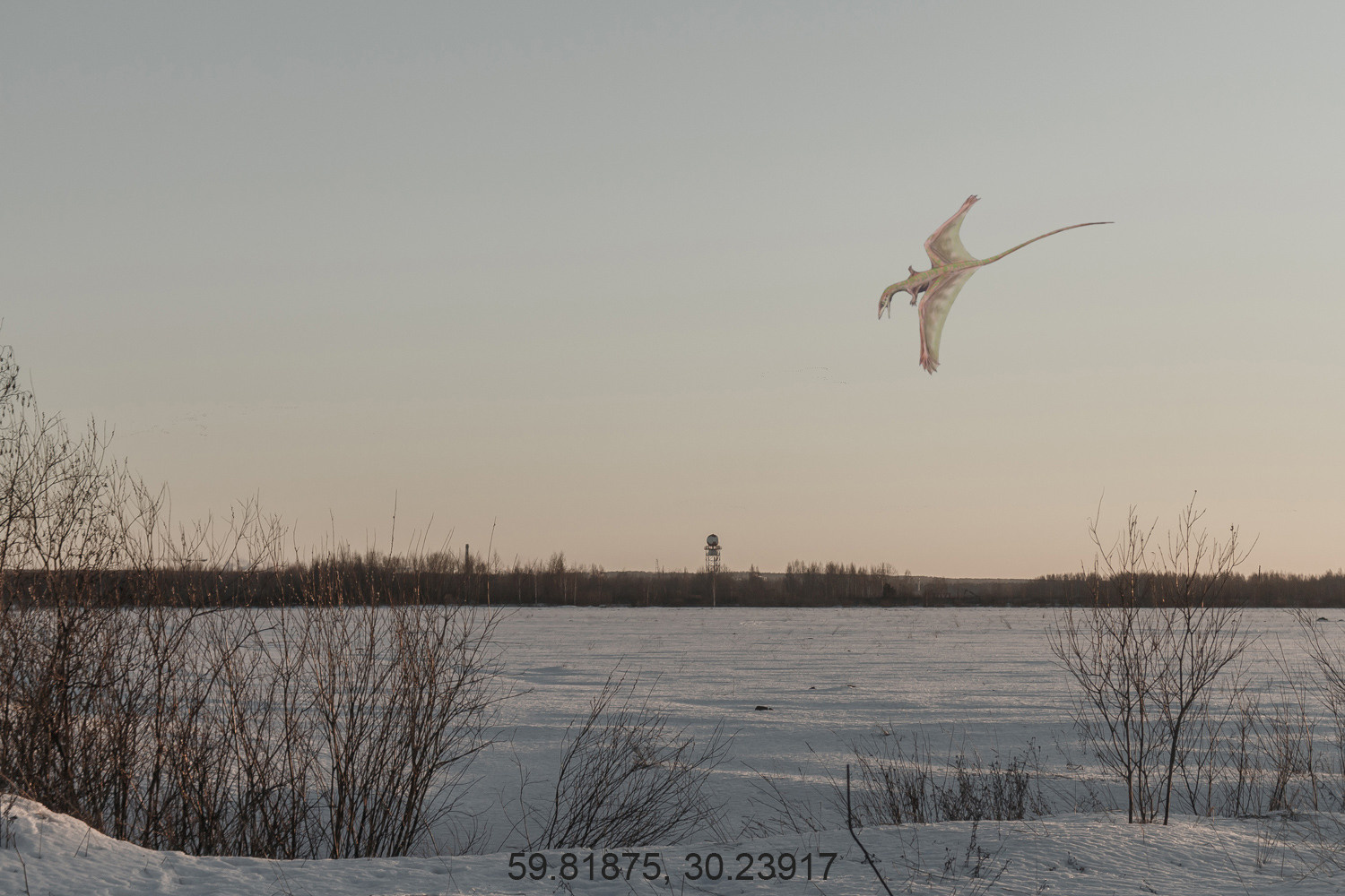 Дикая планета с 20 мая по 20 июля 2022
