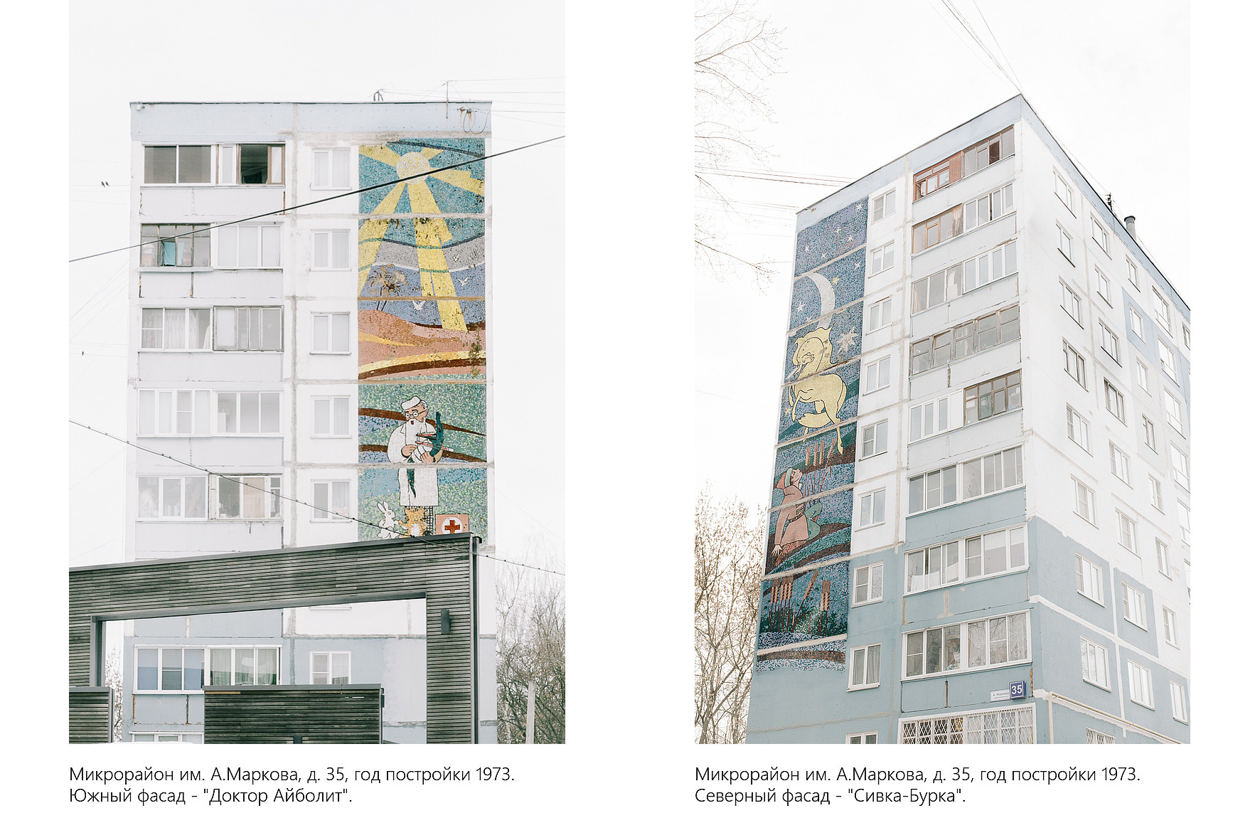 Дикая планета с 20 мая по 20 июля 2022