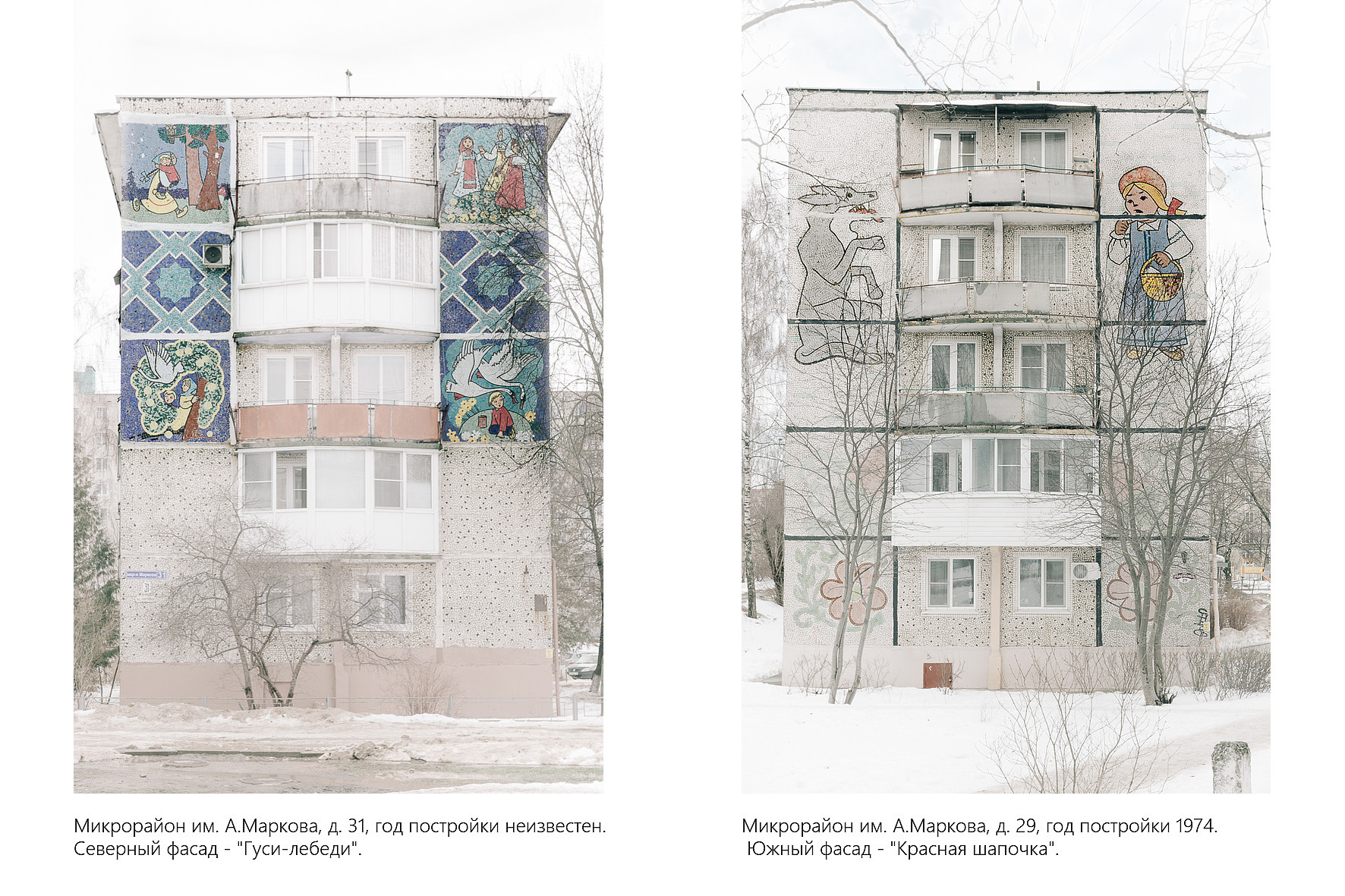 Дикая планета с 20 мая по 20 июля 2022